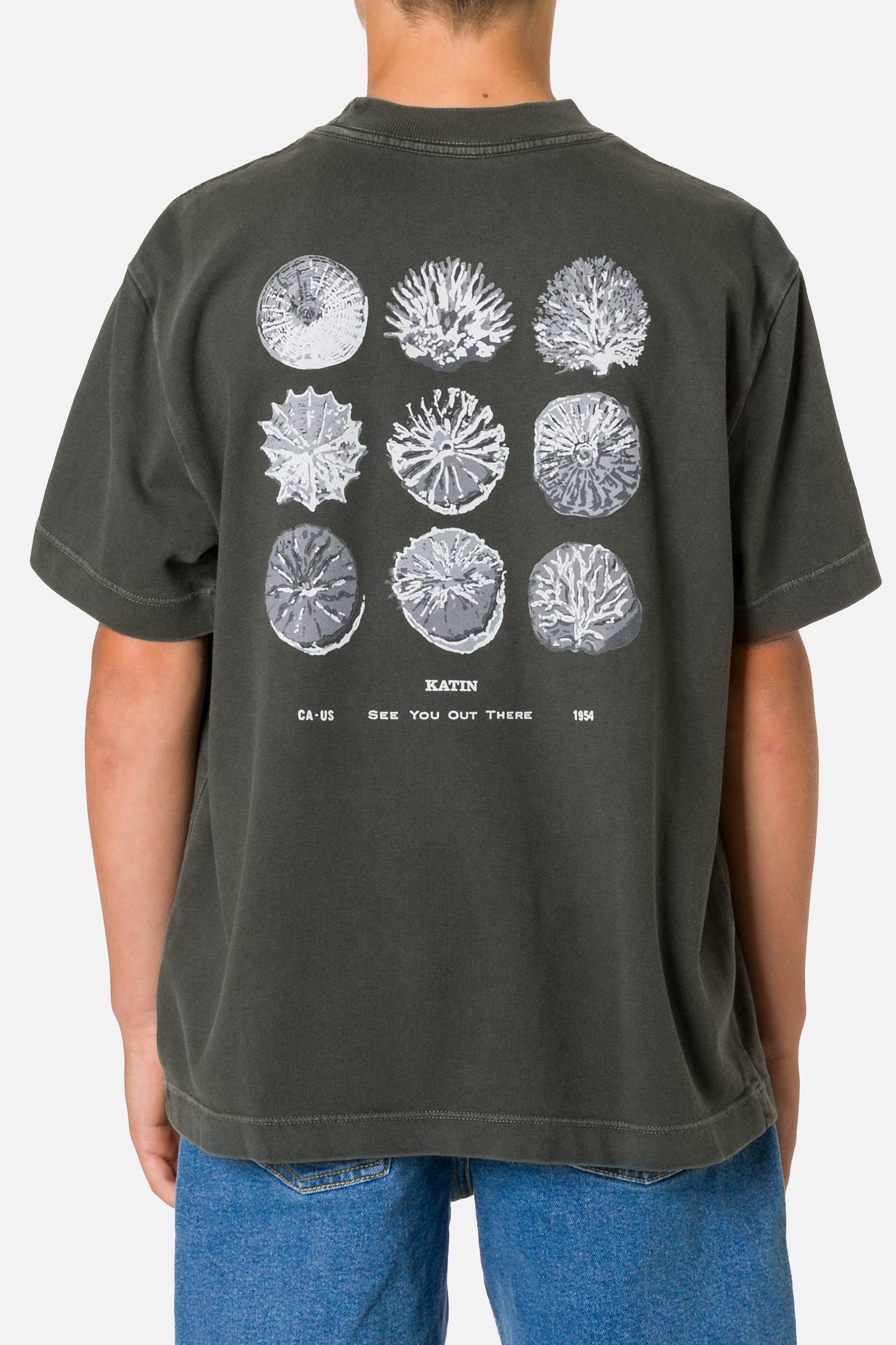 BOYS SPECIMEN BOX FIT TEE Product Image