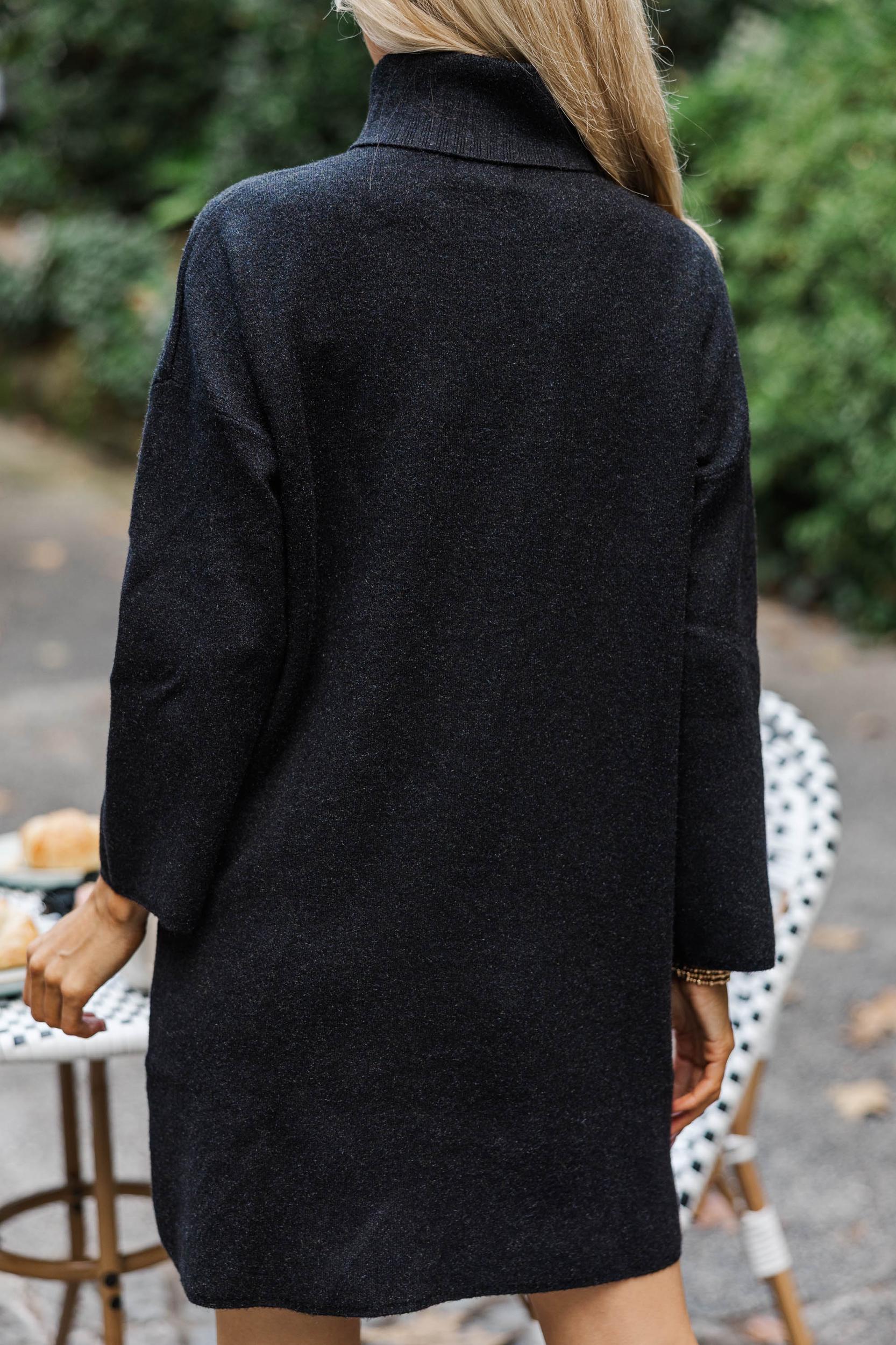 Feeling Fine Black Turtleneck Sweater Dress Female Product Image