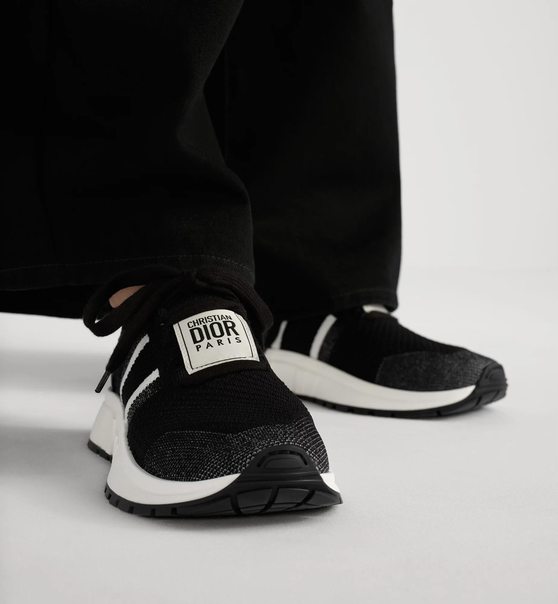 Run'n'Dior Sneaker Product Image