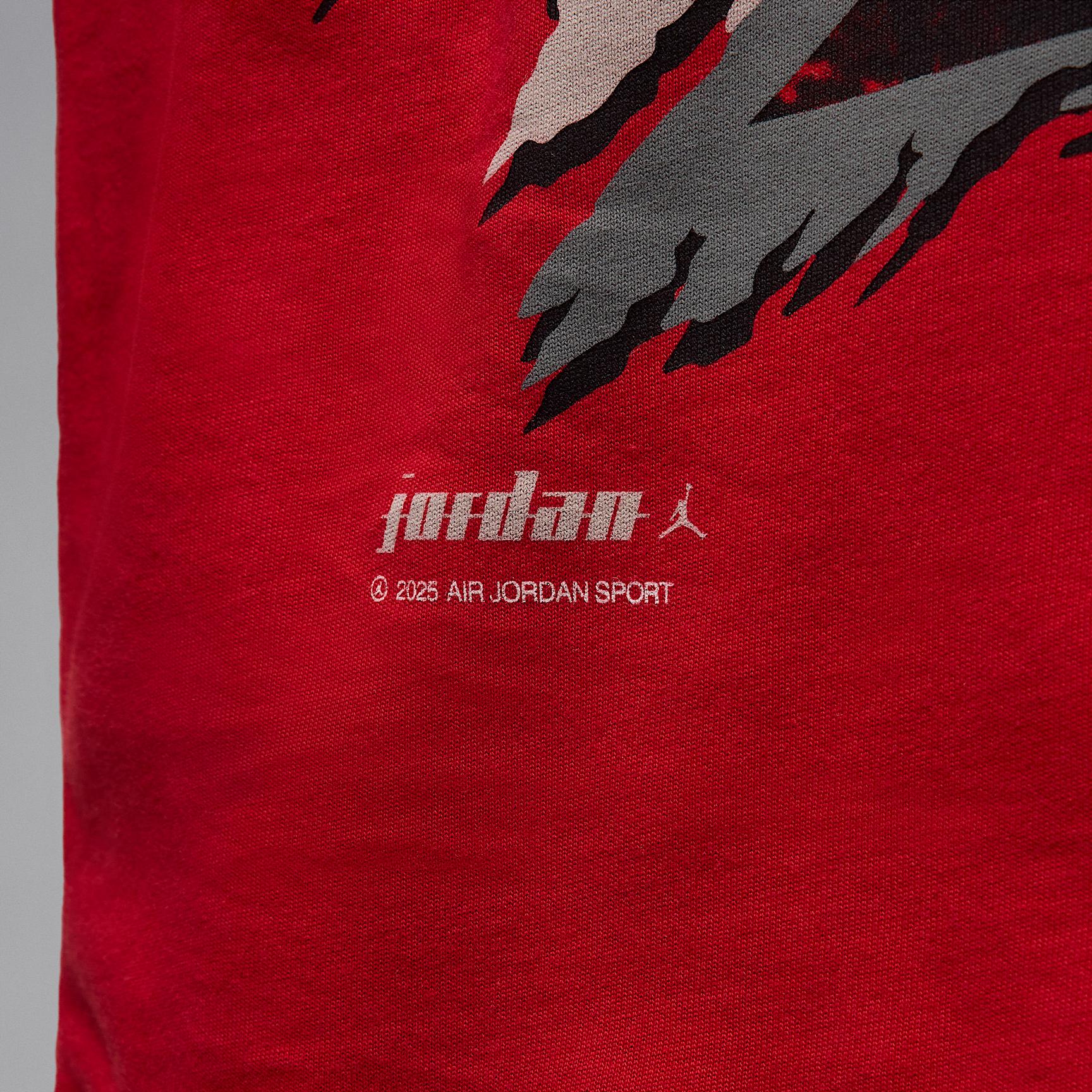 Mens Jordan T-Shirt | IB8814-045 Product Image