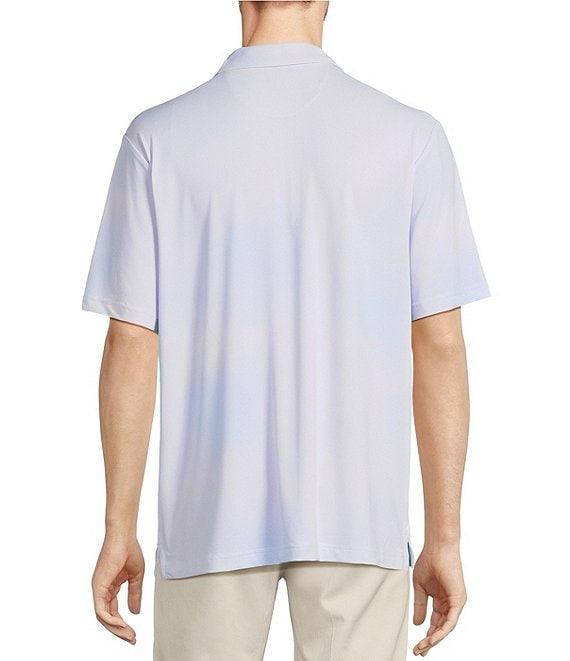 Roundtree & Yorke Performance The Fairway Short Sleeve Watercolor Polo Shirt Product Image