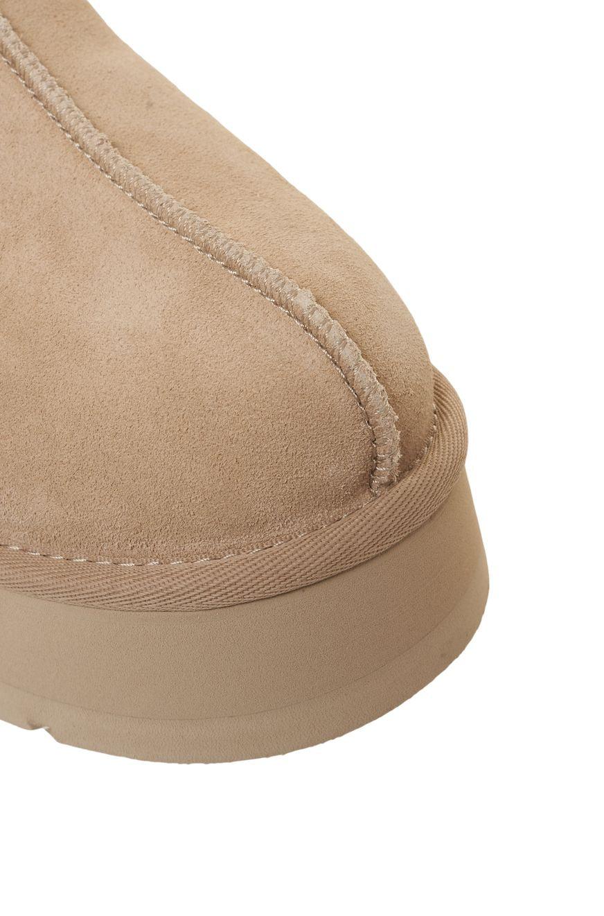 Slippers 'Tazz' Product Image