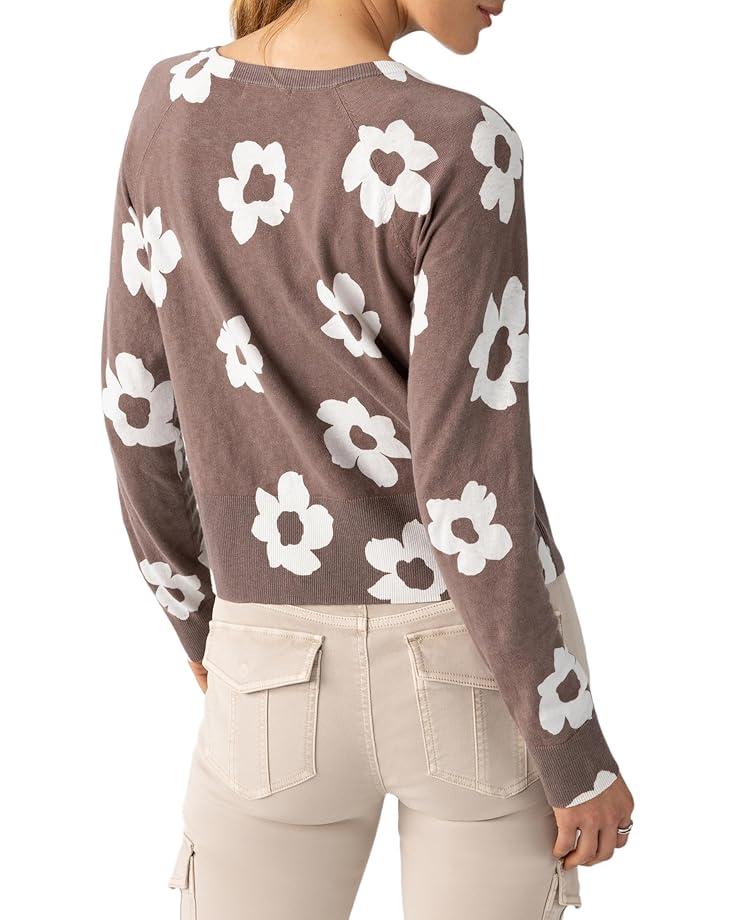 Wicked Soft Cotton/Cashmere Crewneck Sweater Product Image