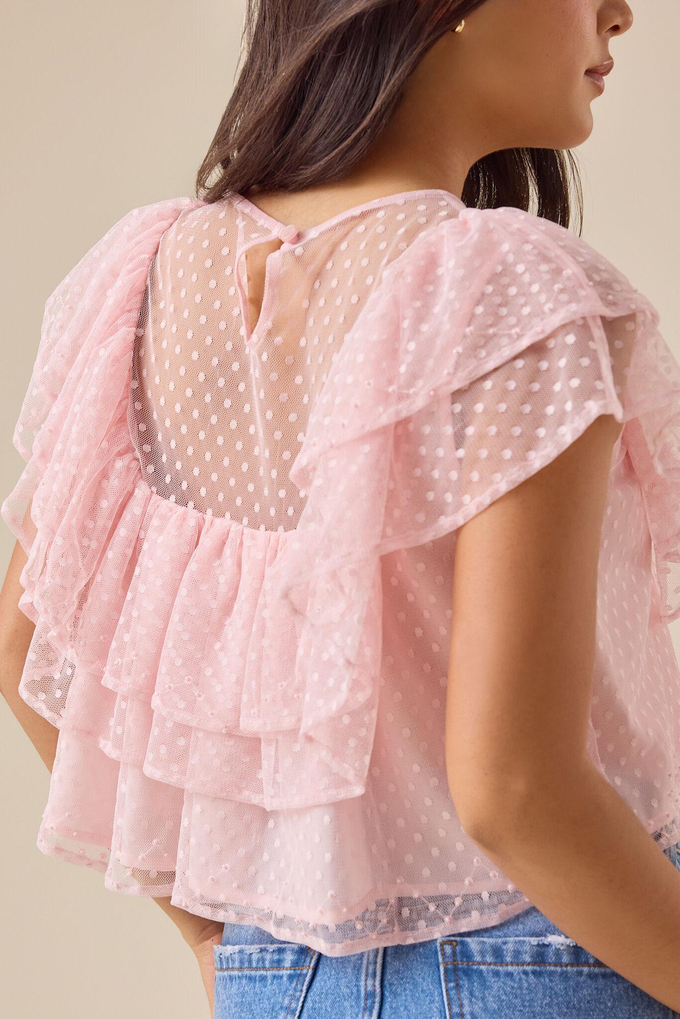 Brooklyn Dot Mesh Embroidered Top Product Image