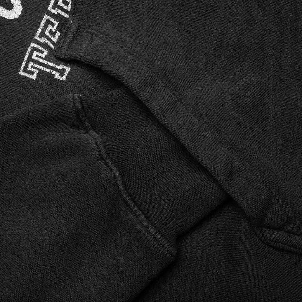 Terraestiva Hoodie - Worn Black Male Product Image