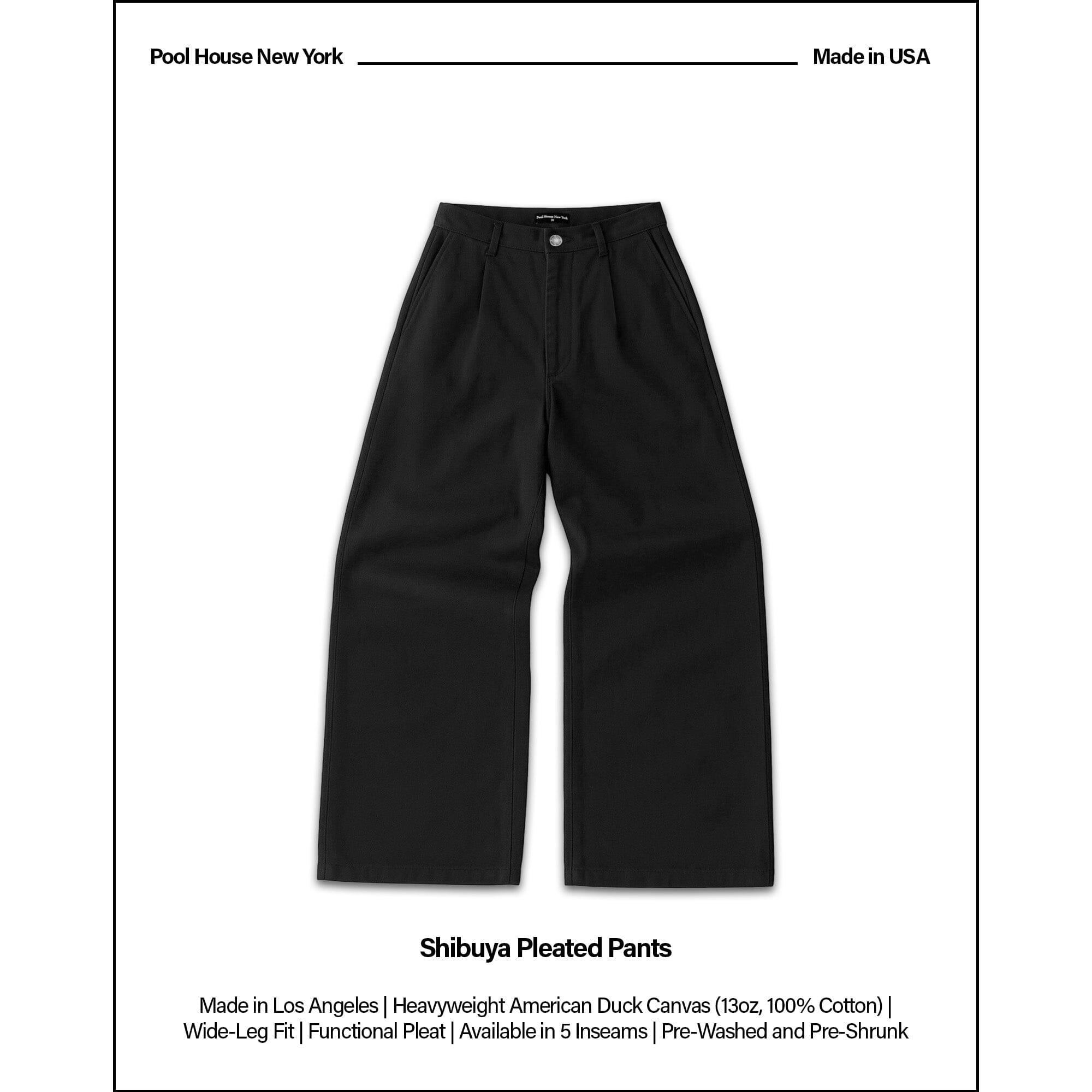 Shibuya Pleated Pants | Baggy, Wide-Leg Product Image