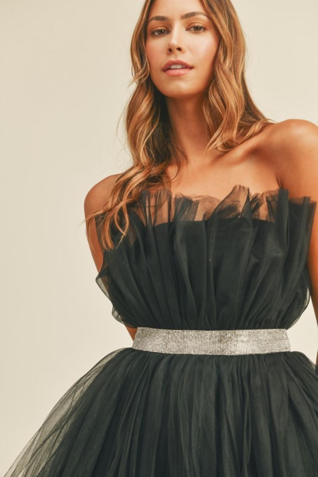 Belted Tulle Dress Product Image