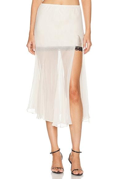 Sheer Gusset Skirt Product Image