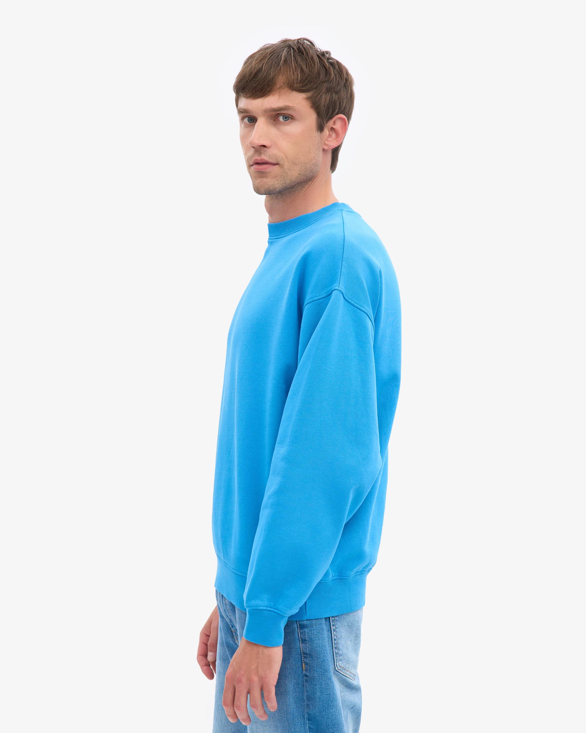 Organic Oversized Crew - Lava Grey Product Image