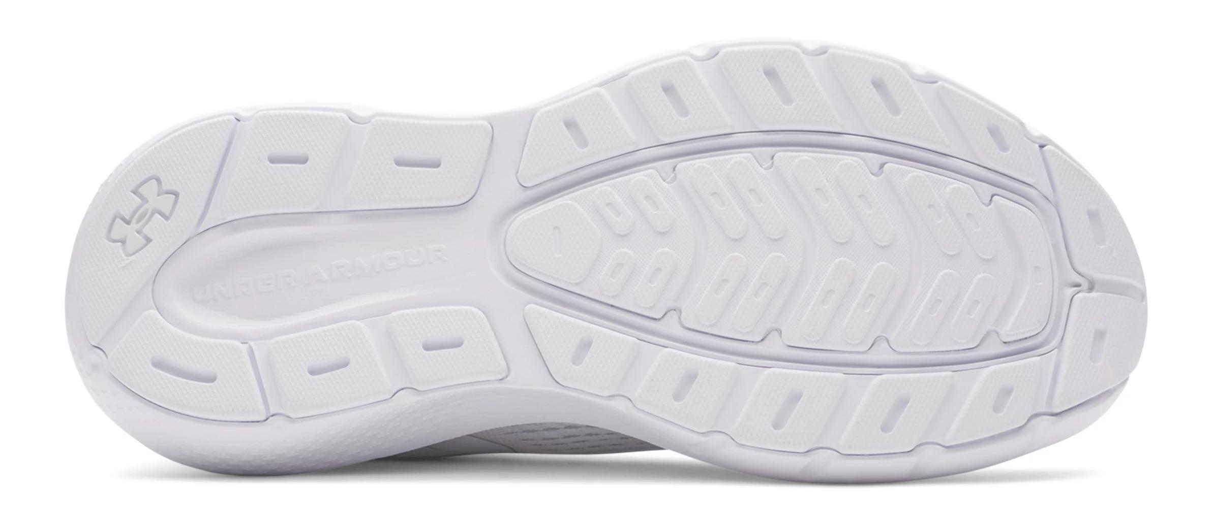 UA Rogue 5 Product Image