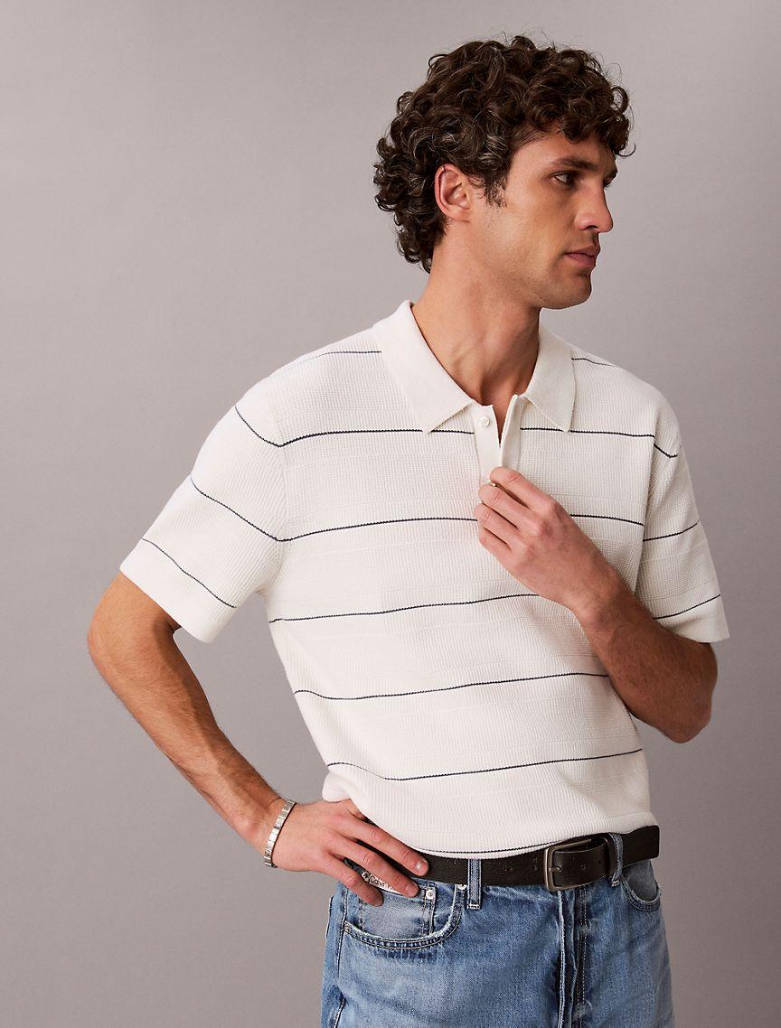 Cotton Stripe Sweater Polo Shirt Product Image