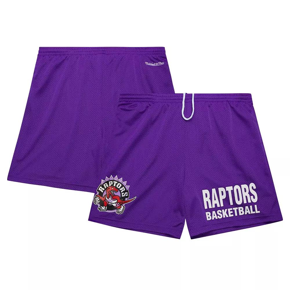 Men's Mitchell & Ness Purple Toronto Raptors Hardwood Classics Gameday Mesh Shorts,  Product Image