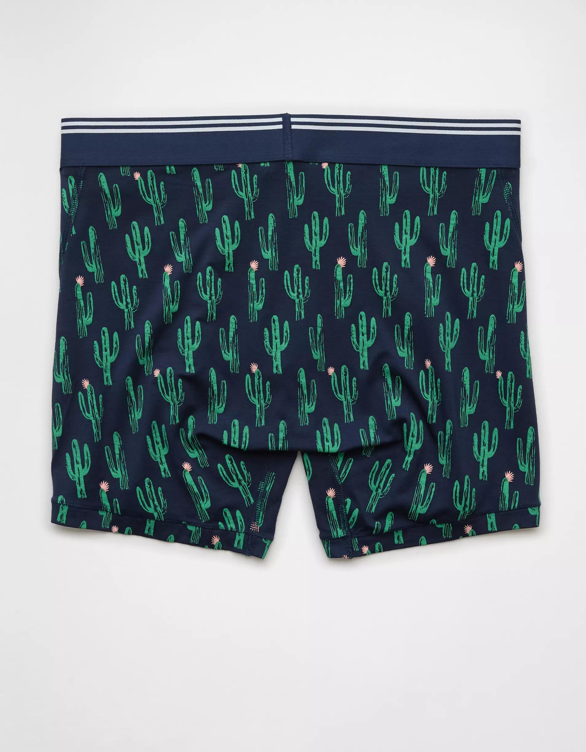 AEO Men's Cacti 4.5" Ultra Soft Boxer Brief Product Image