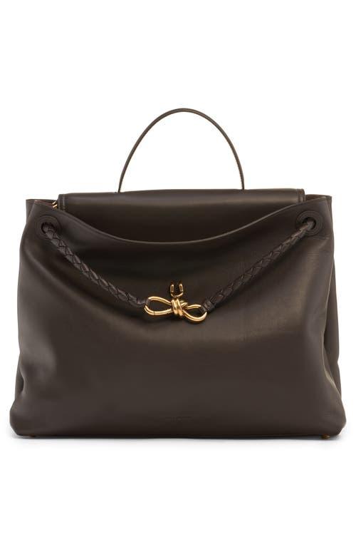 BOTTEGA VENETA Andiamo Large Leather Top-handle Bag In Fondant-m Brass Product Image
