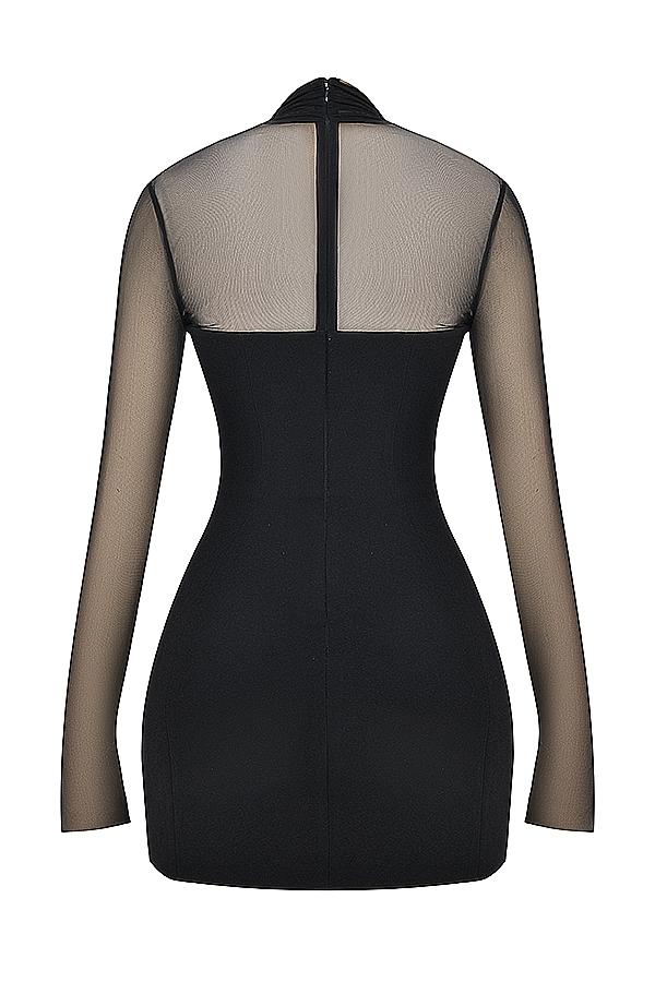 Holly  black plunge mini dress Product Image