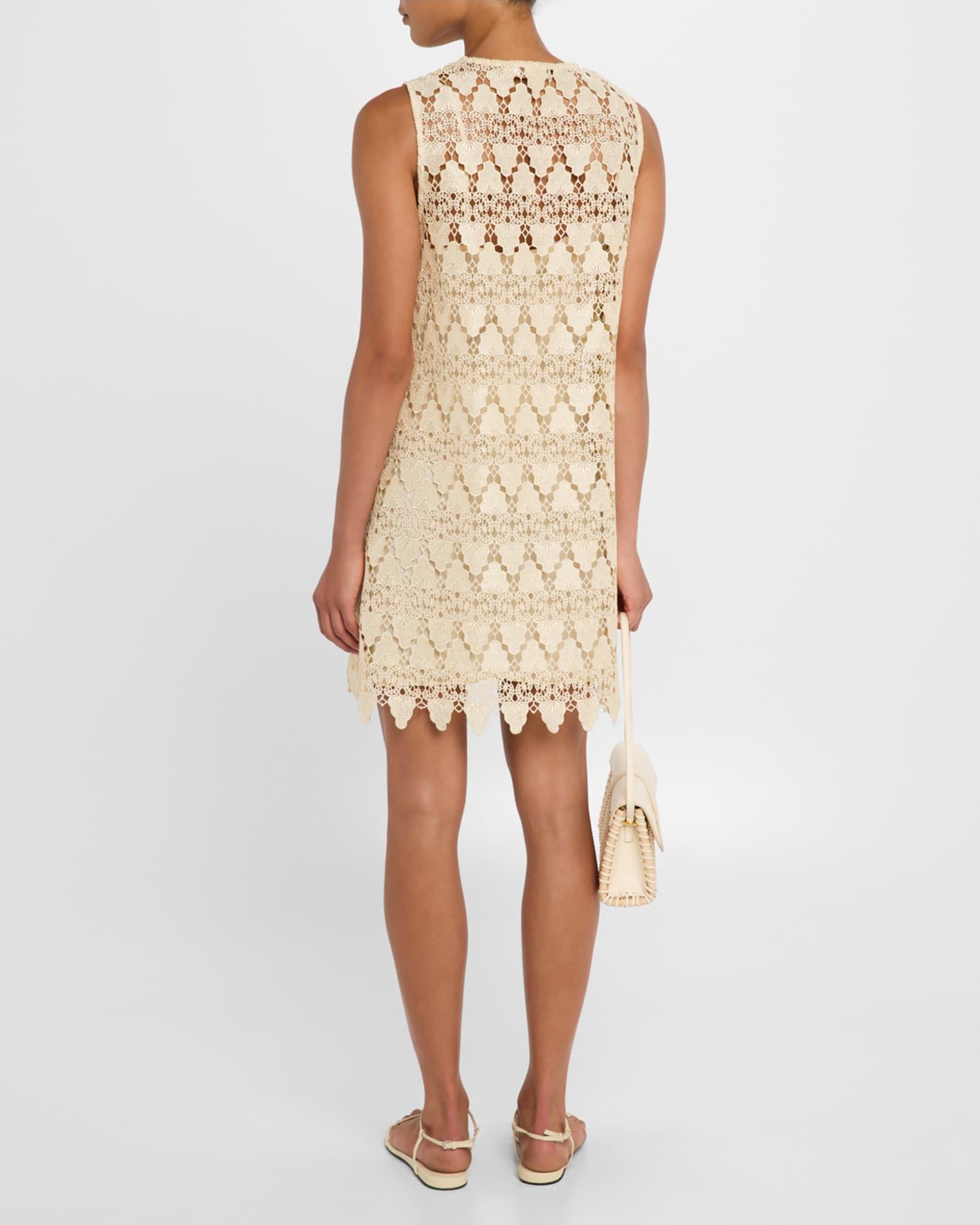 The Deco Lace Mini Dress  Product Image