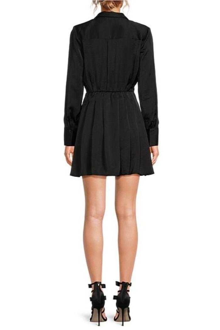 Charlee Dress- Black Product Image