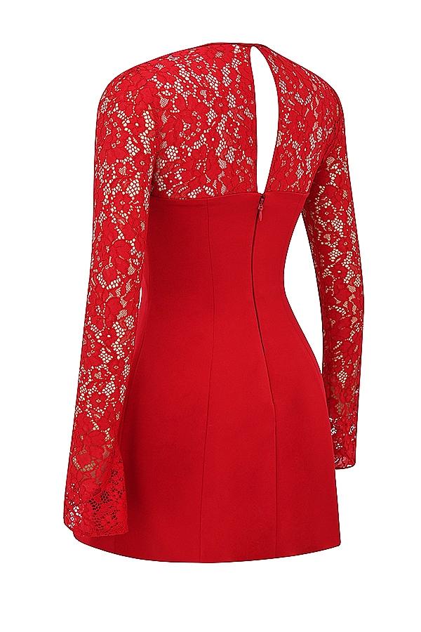 Jennica  red rose satin and lace mini dress Product Image