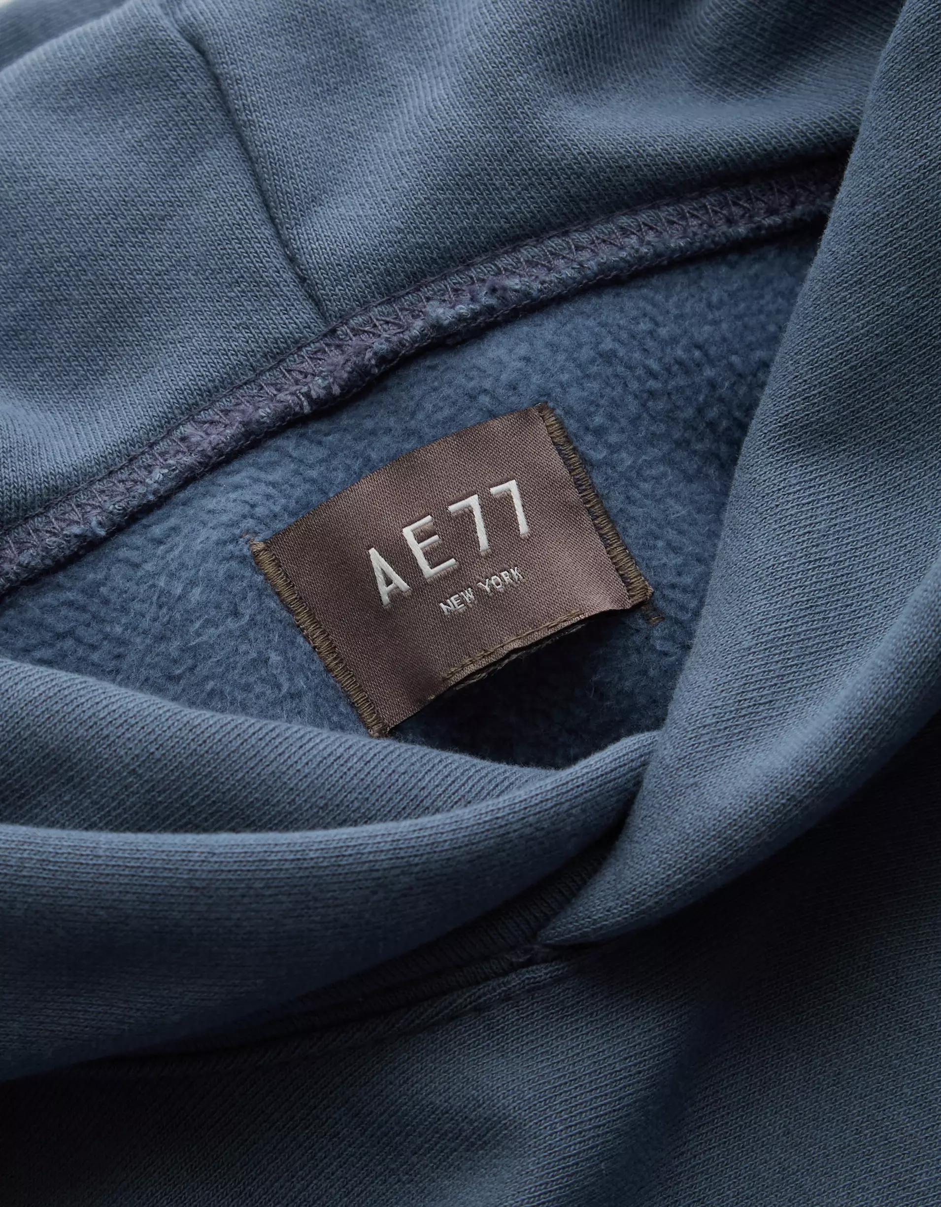 AE77 Premium Fleece Hoodie Product Image