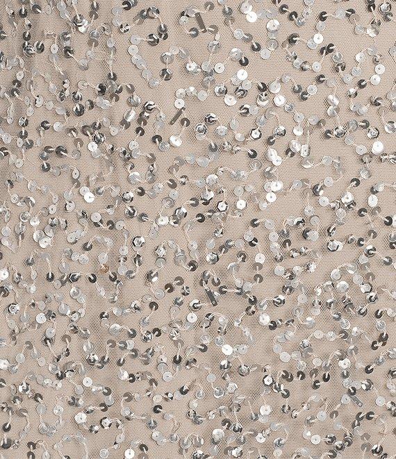 Pisarro Nights Beaded V-Neck Caplet Sleeve Blouson Gown Product Image