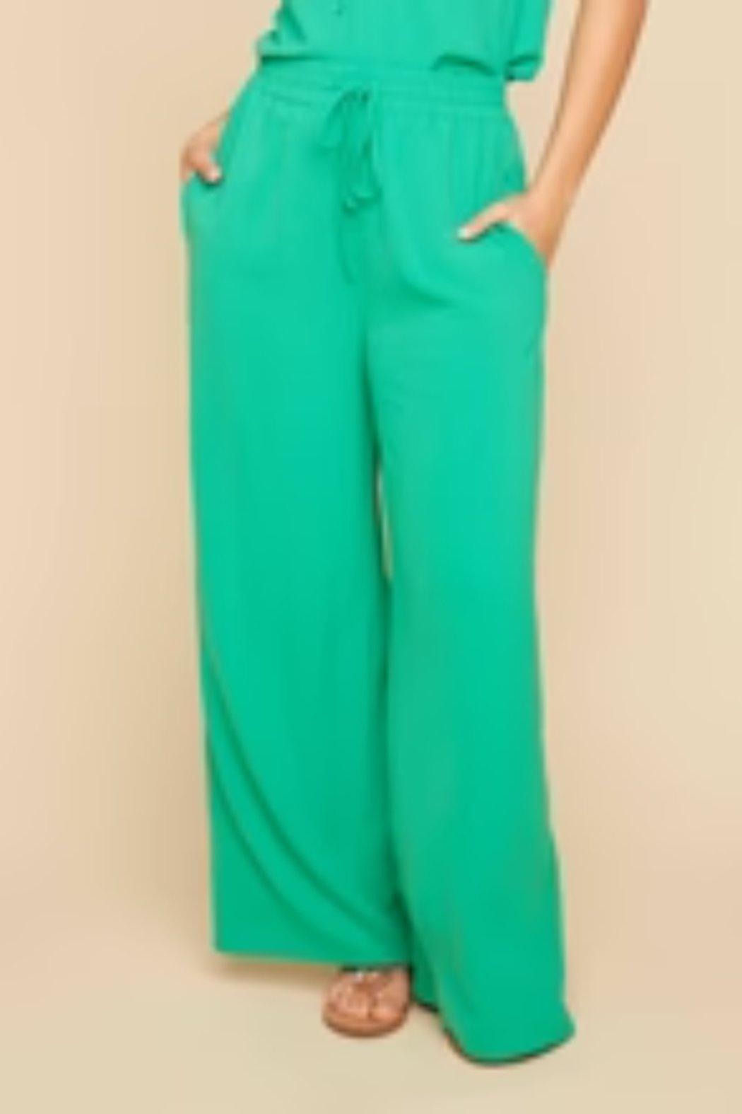 Pull on palazzo all day pant pant Product Image