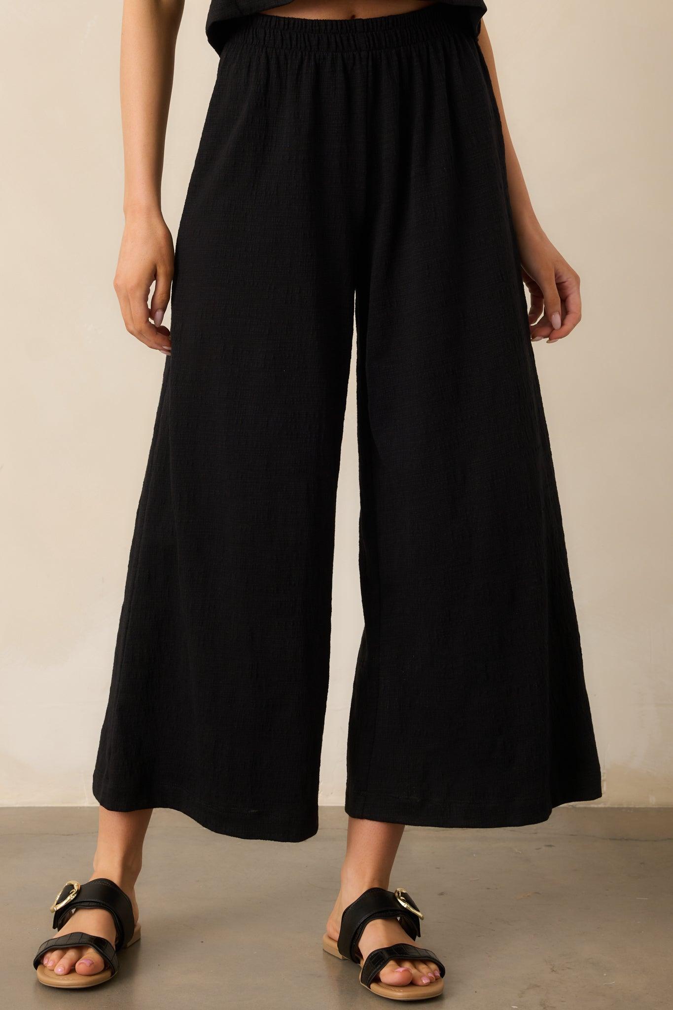 Z Supply Black Scout Textured Slub Pants Product Image