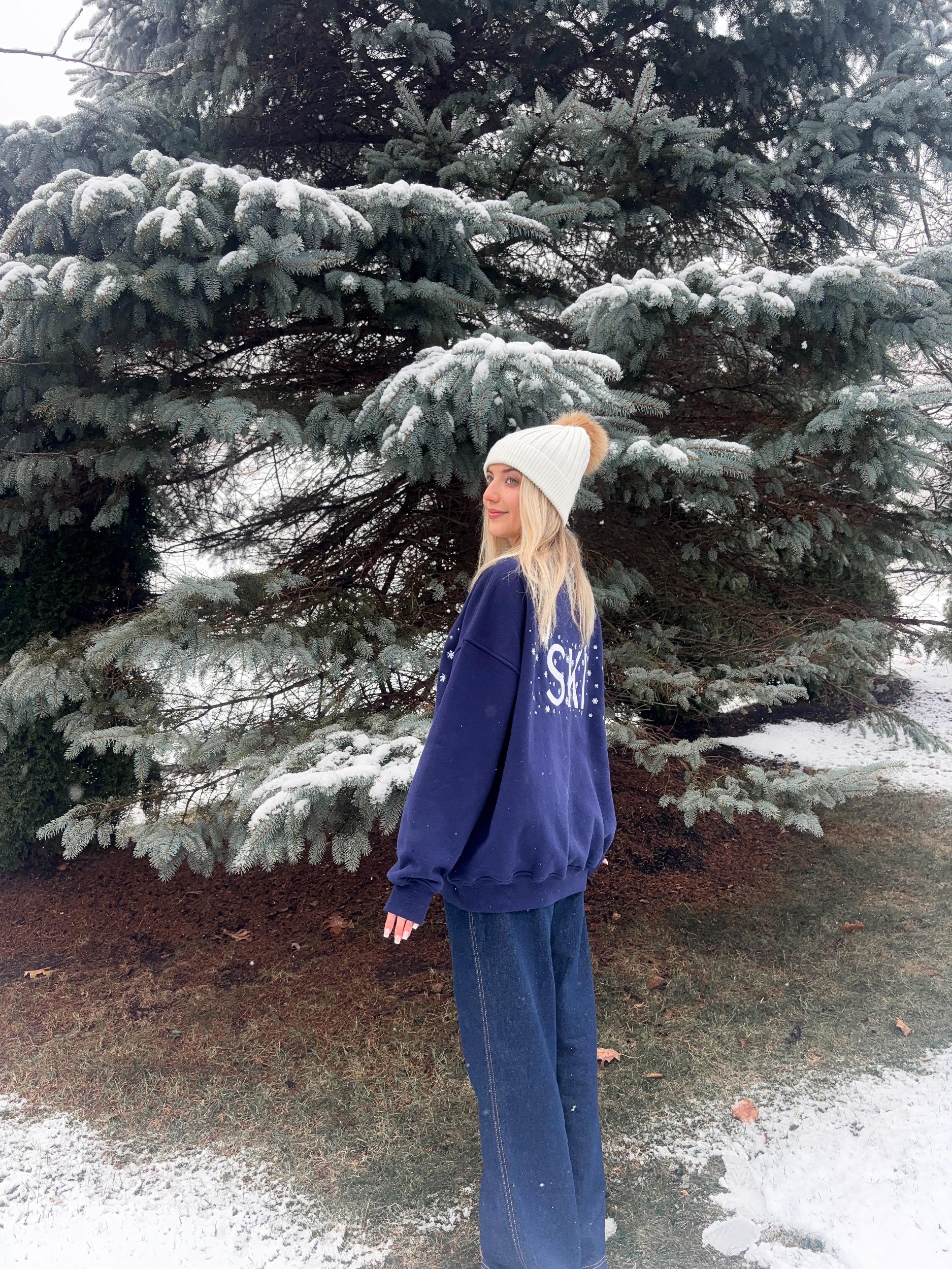 Ski Snowflake Embroider Sweatshirt Product Image