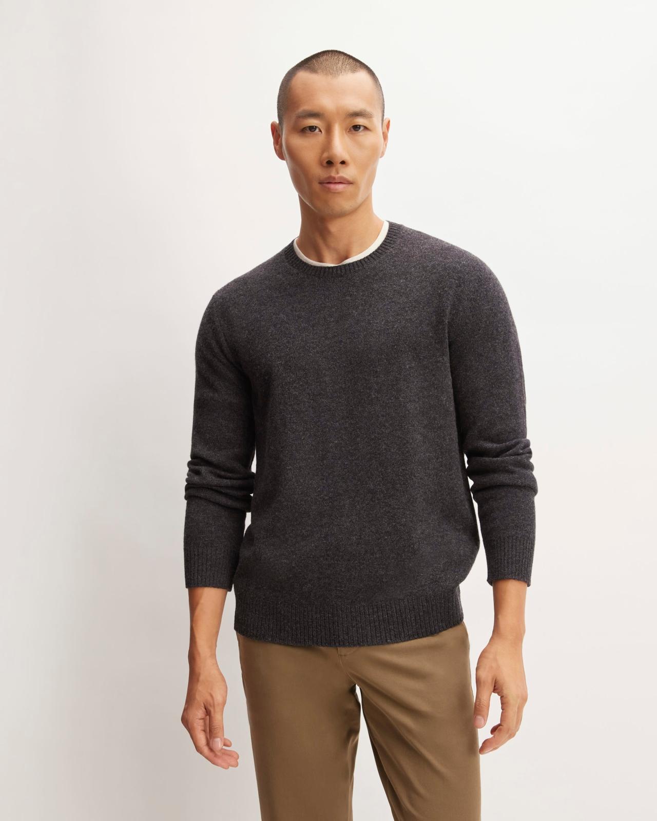 Mens Premium Merino Crew Neck Sweater by Everlane Product Image