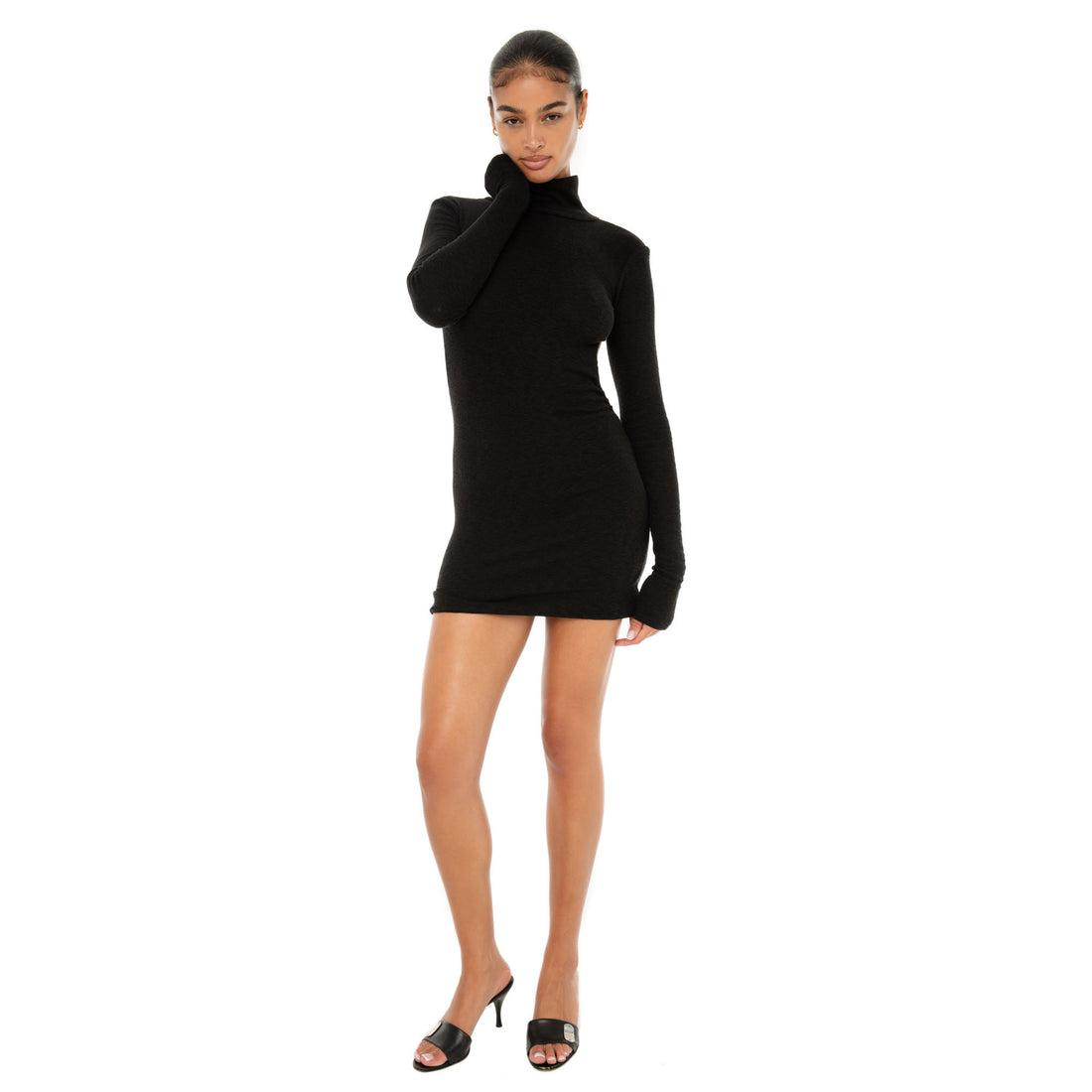 Denz Dress Product Image