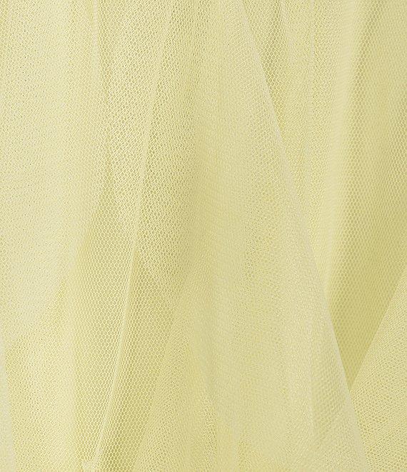 Pear Culture V-Neck Lace-Up Back Mesh Ruffle Dress Product Image