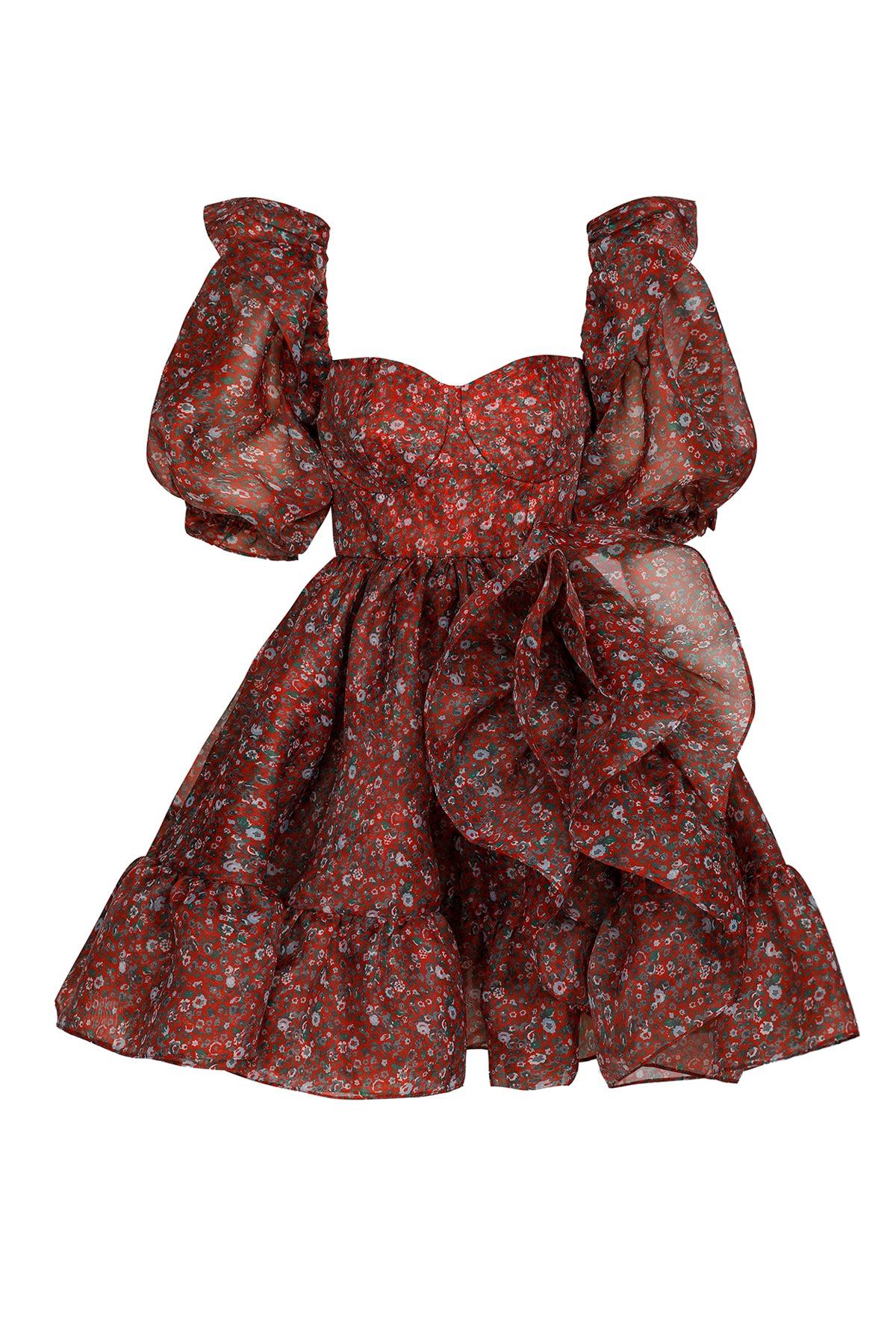 The Crimson Bebe Bloom Dress Product Image