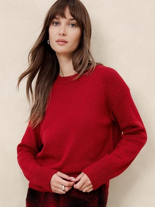 Cozy Shimmer Pullover Sweater Product Image