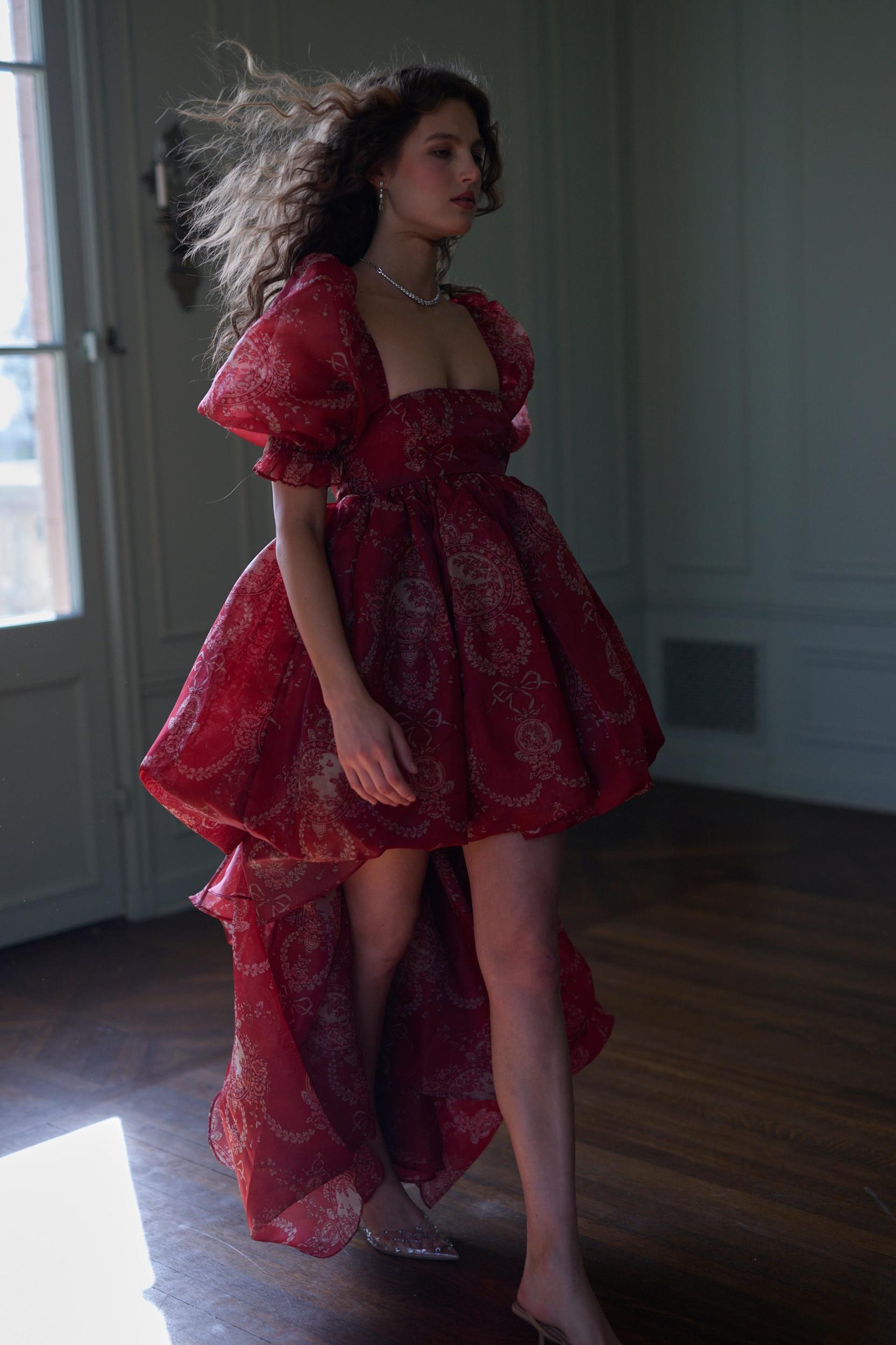 The Ornament Fairytale Gown Product Image