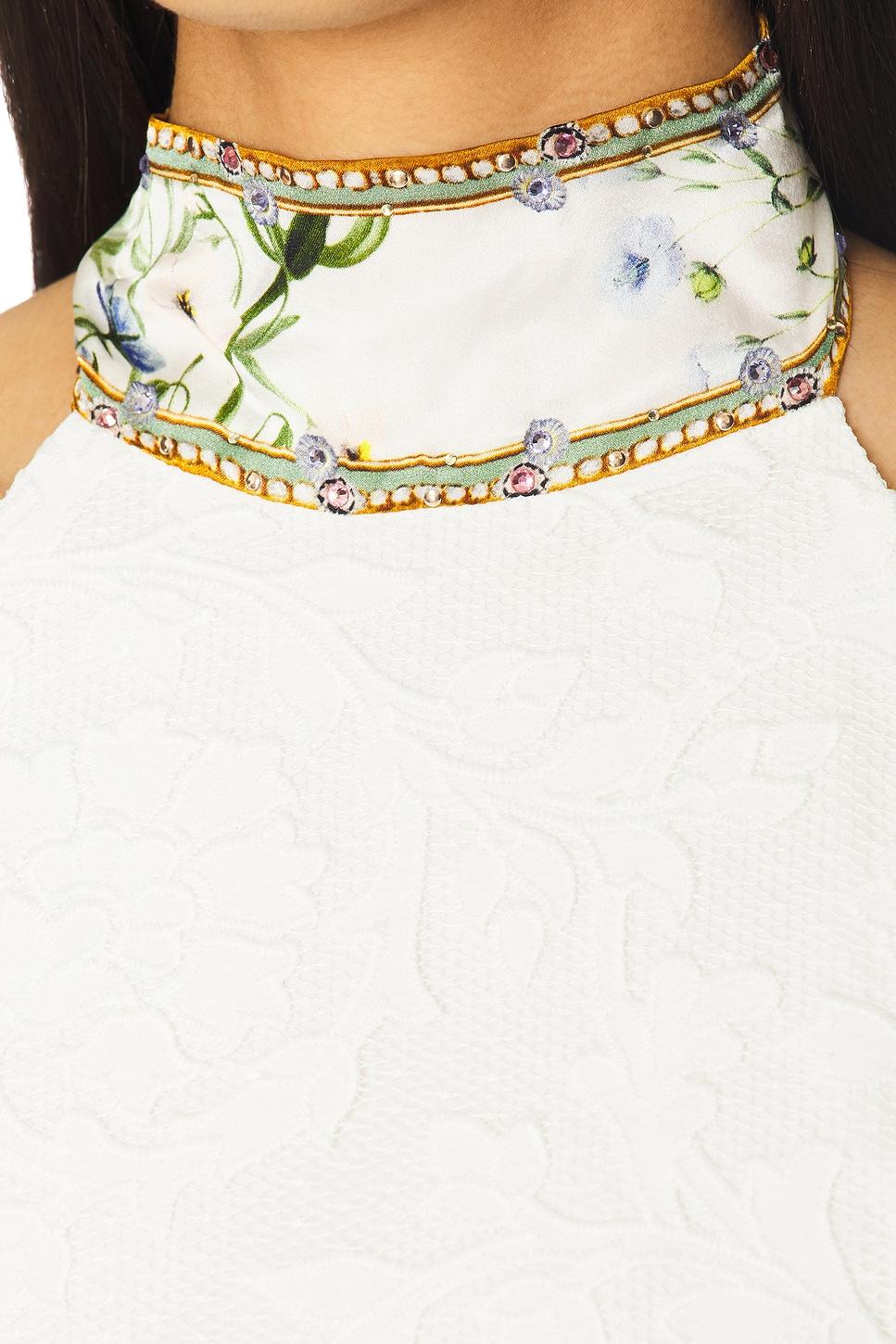 Halter Tie Back Top Camilla Product Image