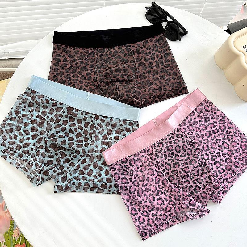 Leopard Print Boxer Brief / Set Product Image