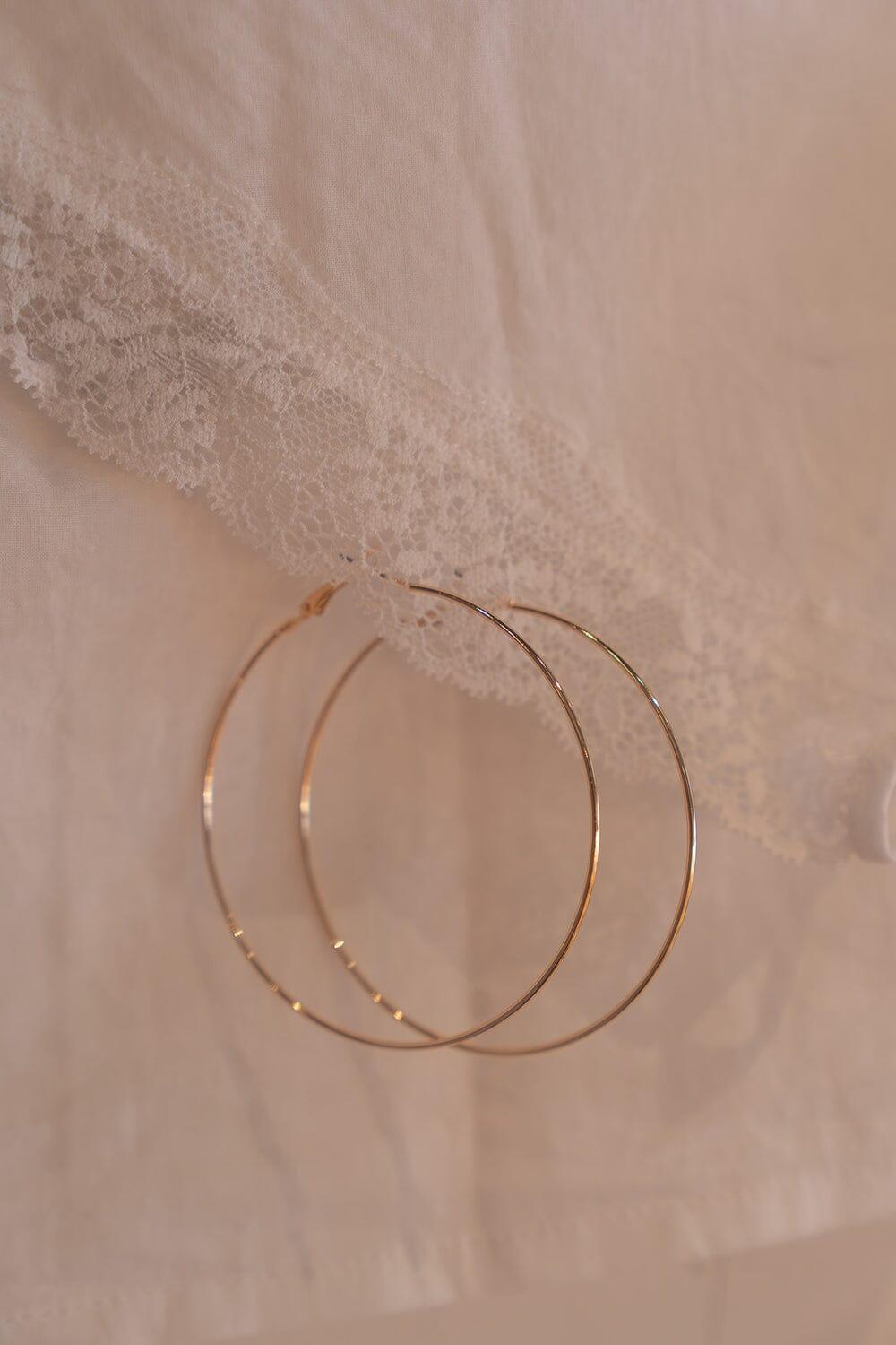 Hoop Earrings Product Image