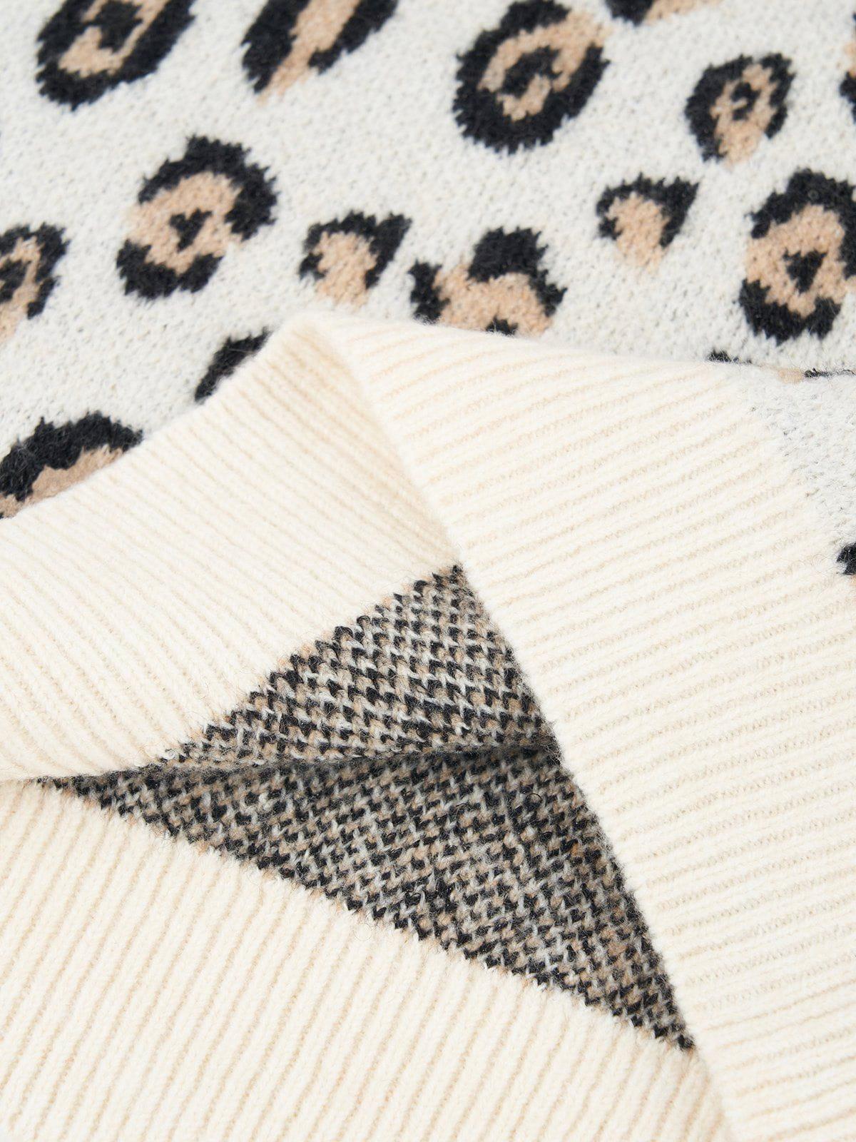 Aelfric Eden Leopard Graphic Sweater Product Image