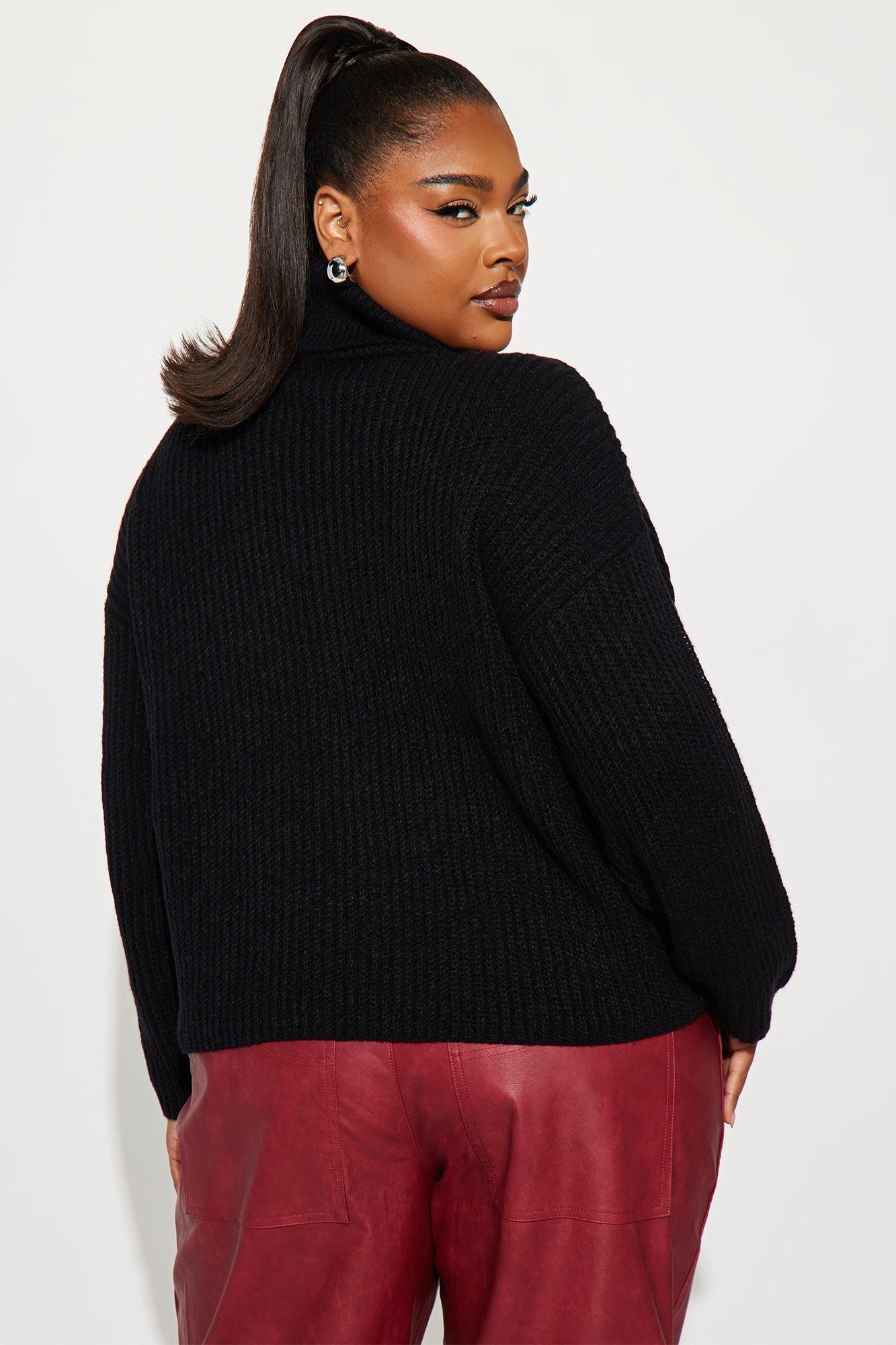 Jacklyn Turtle Neck Sweater - Black Female Product Image