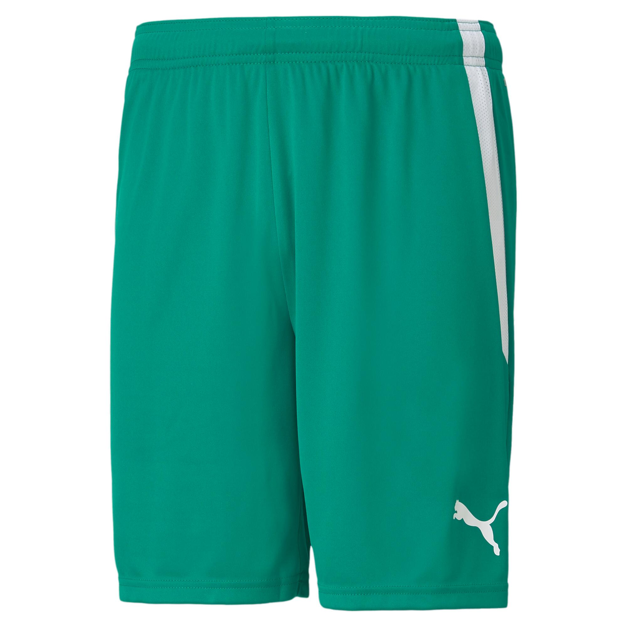 teamLIGA Men's Soccer Shorts Product Image