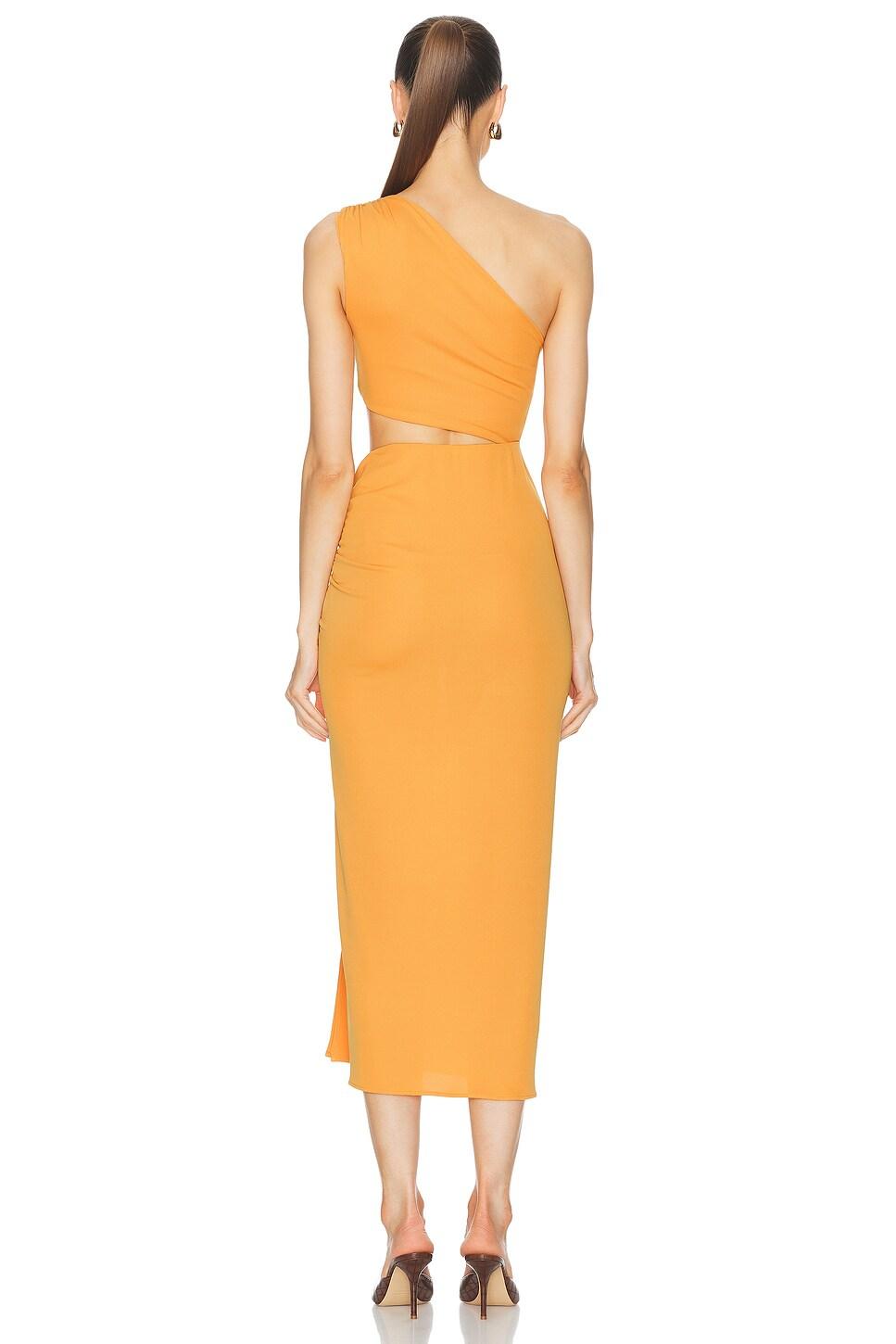 Riri One Shoulder Cut Out Midi Dress Product Image
