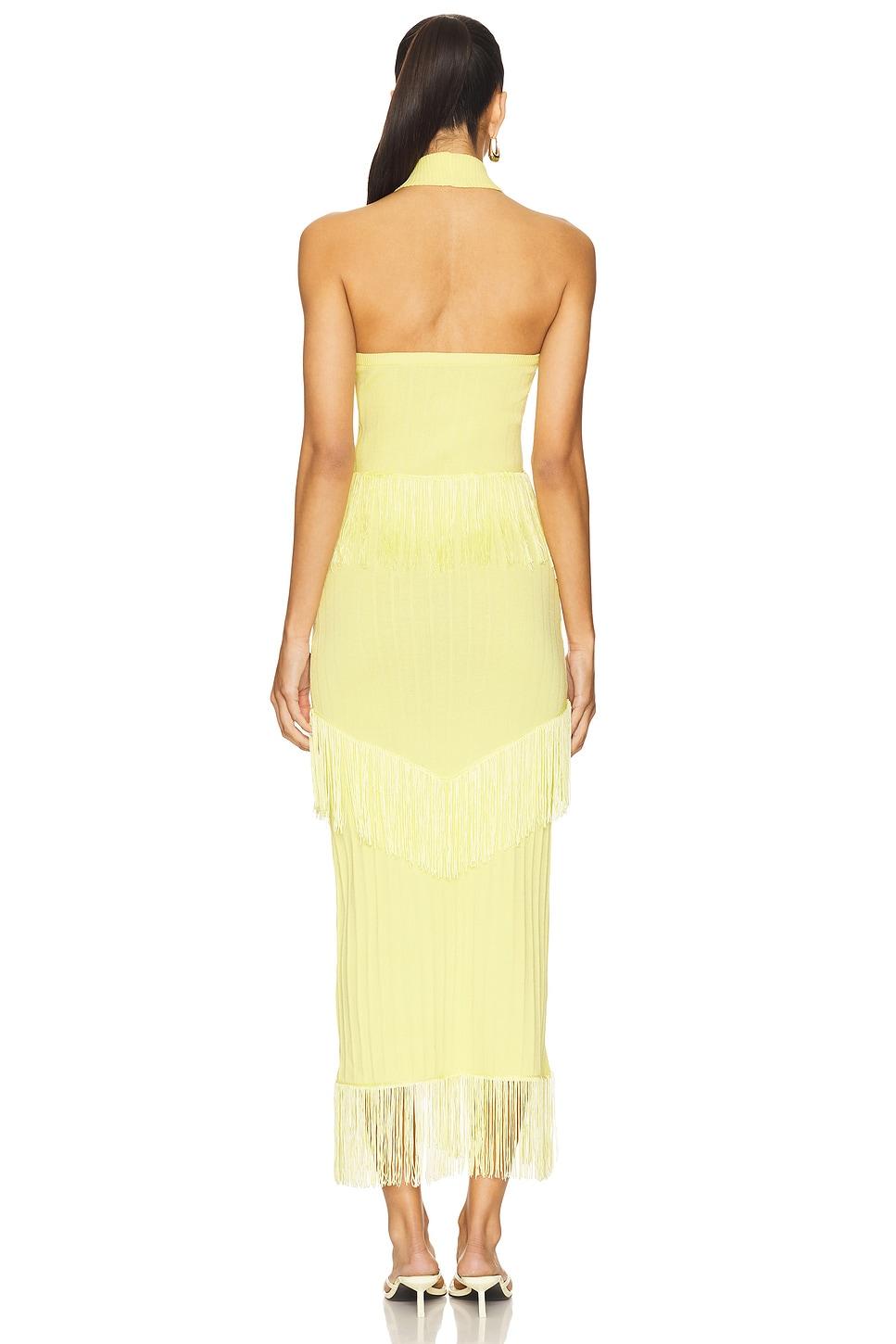 Lana Fringe Dress YLLW THE LABEL Product Image