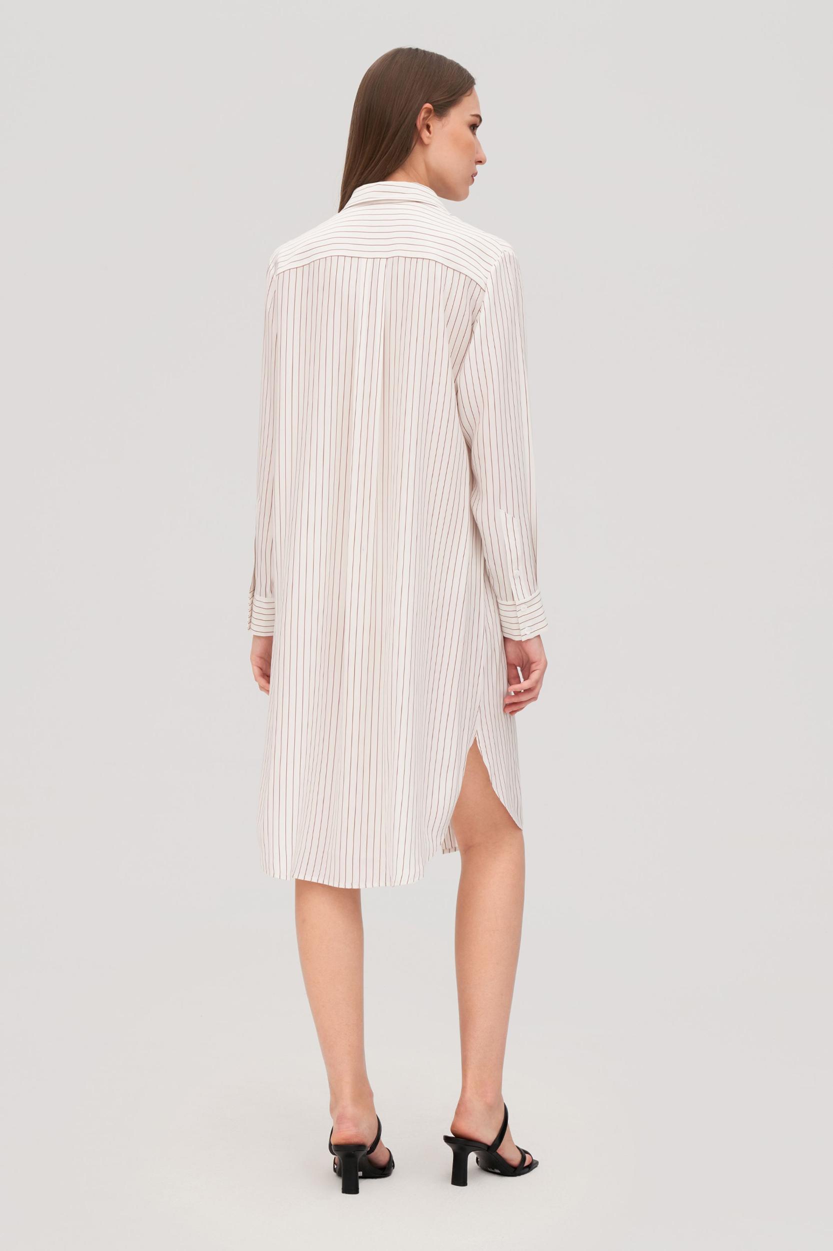 Pinstriped Freesia Shirt Dress Product Image