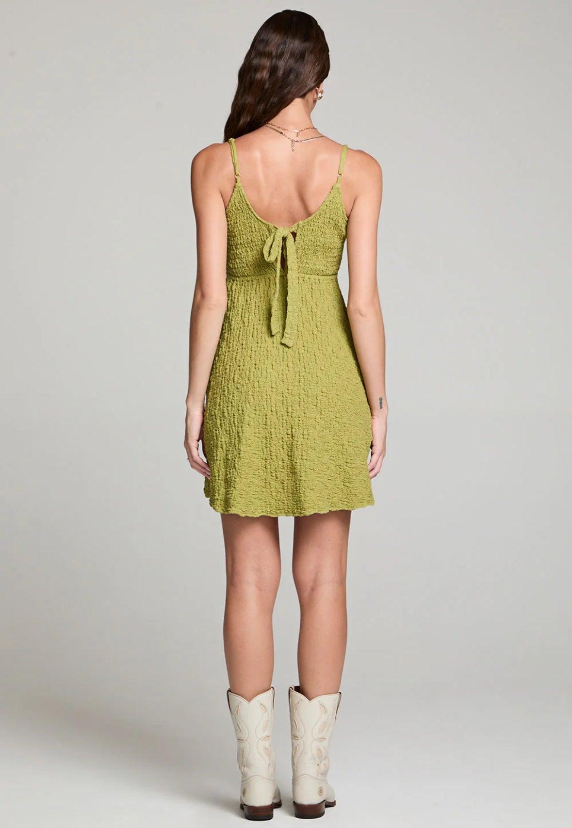 Saltwater Luxe Jazmyn Mini Dress Product Image