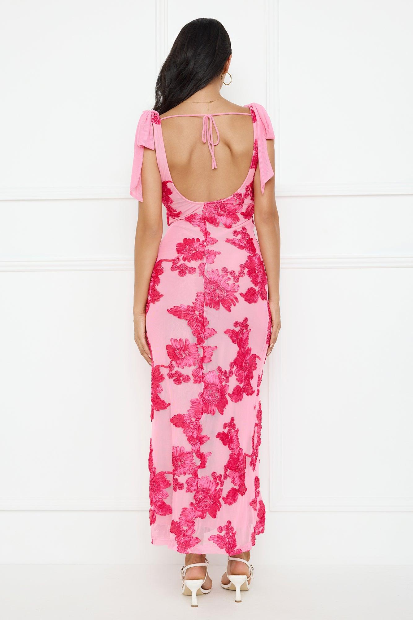 Ambrosia Mesh Maxi Dress Pink Product Image