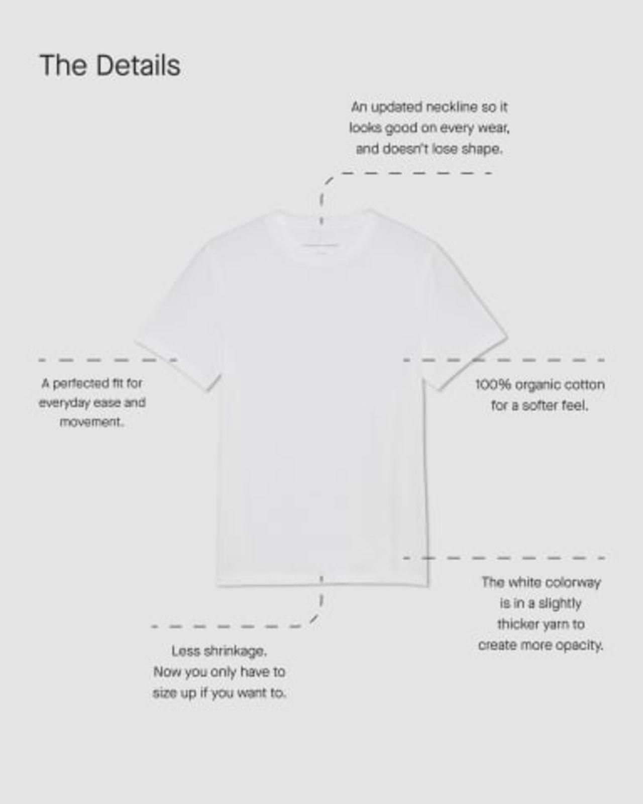 Mens Essential Organic Crew T-Shirt by Everlane Product Image