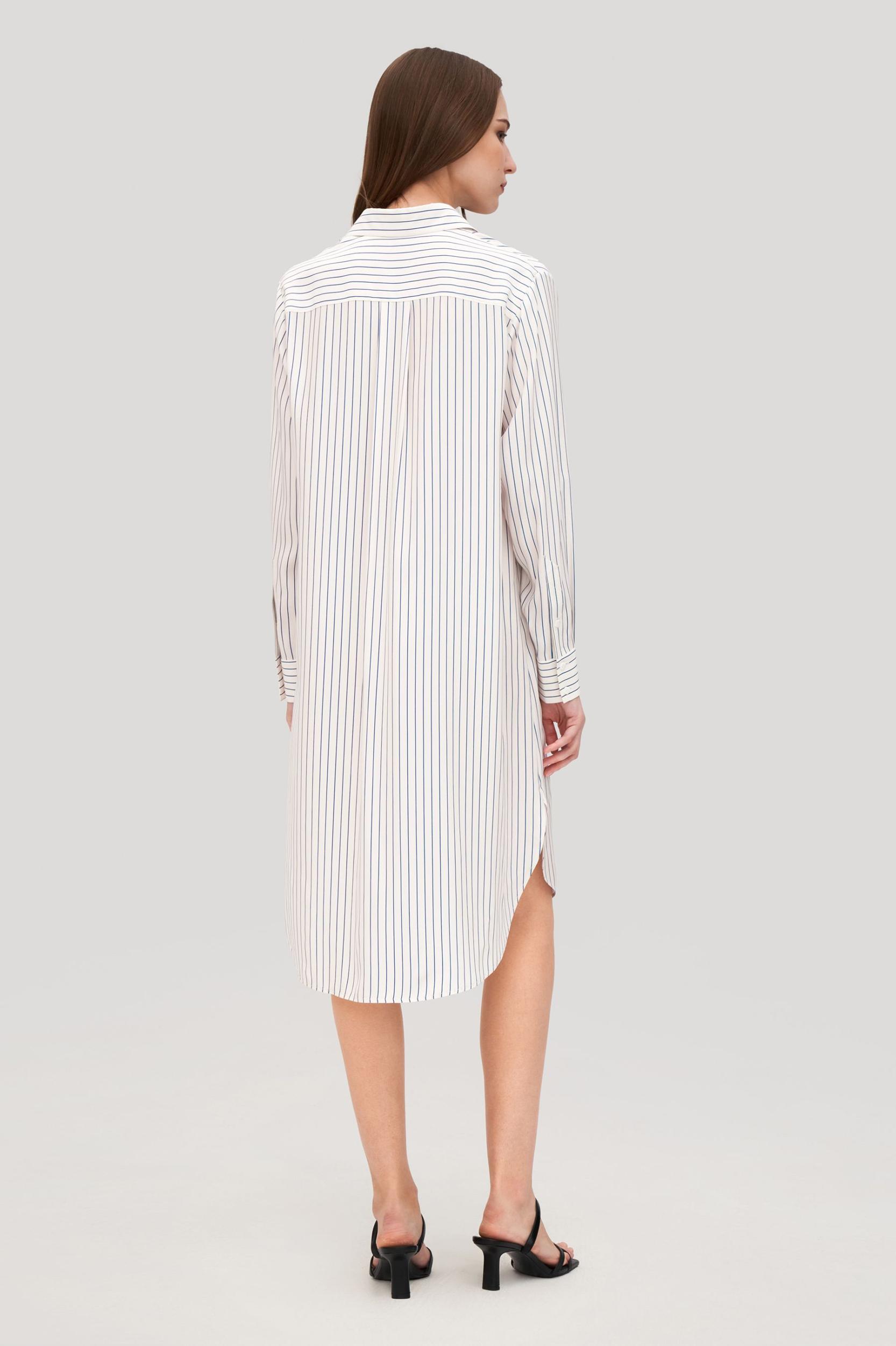 Pinstriped Freesia Shirt Dress Product Image