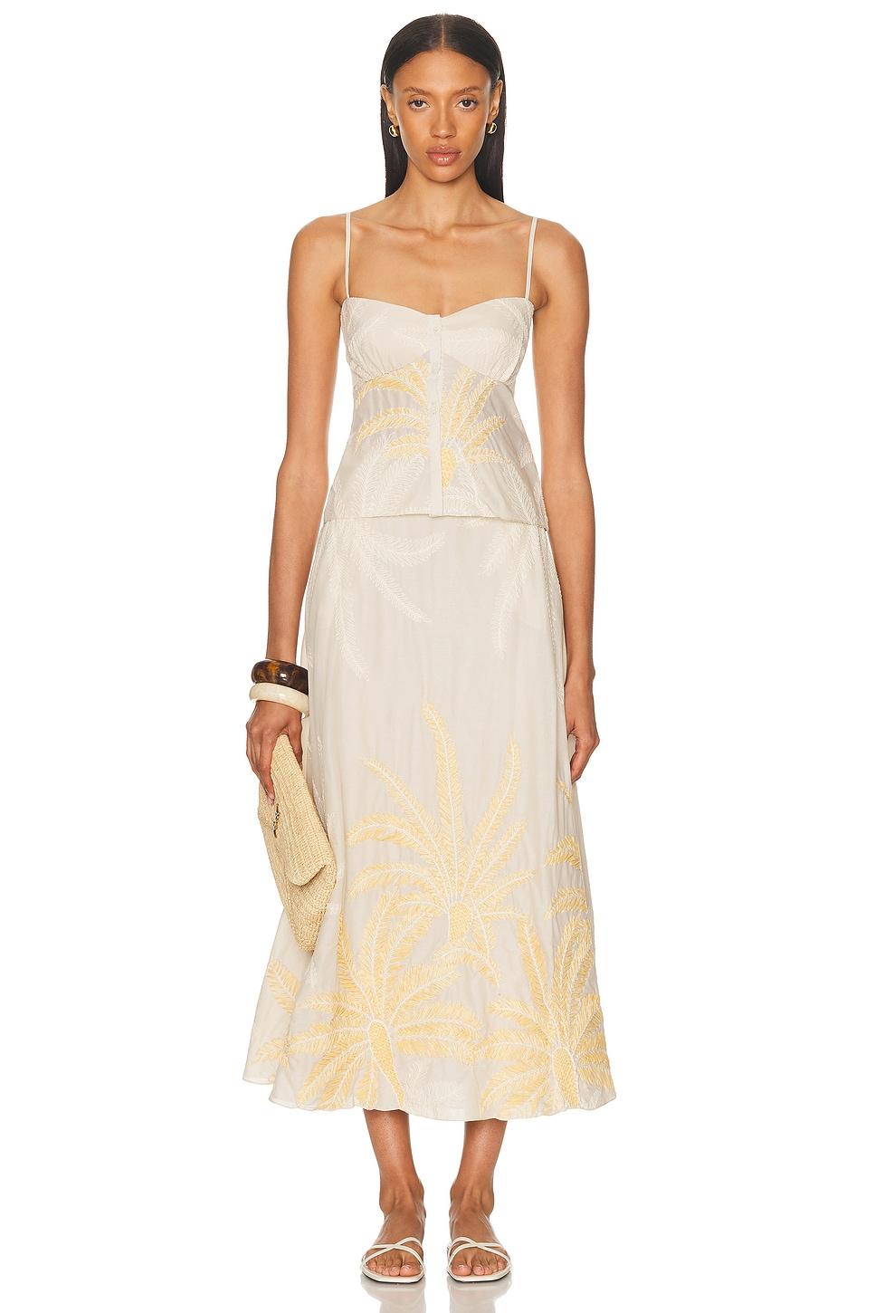 Thong 3 Pack Product Image