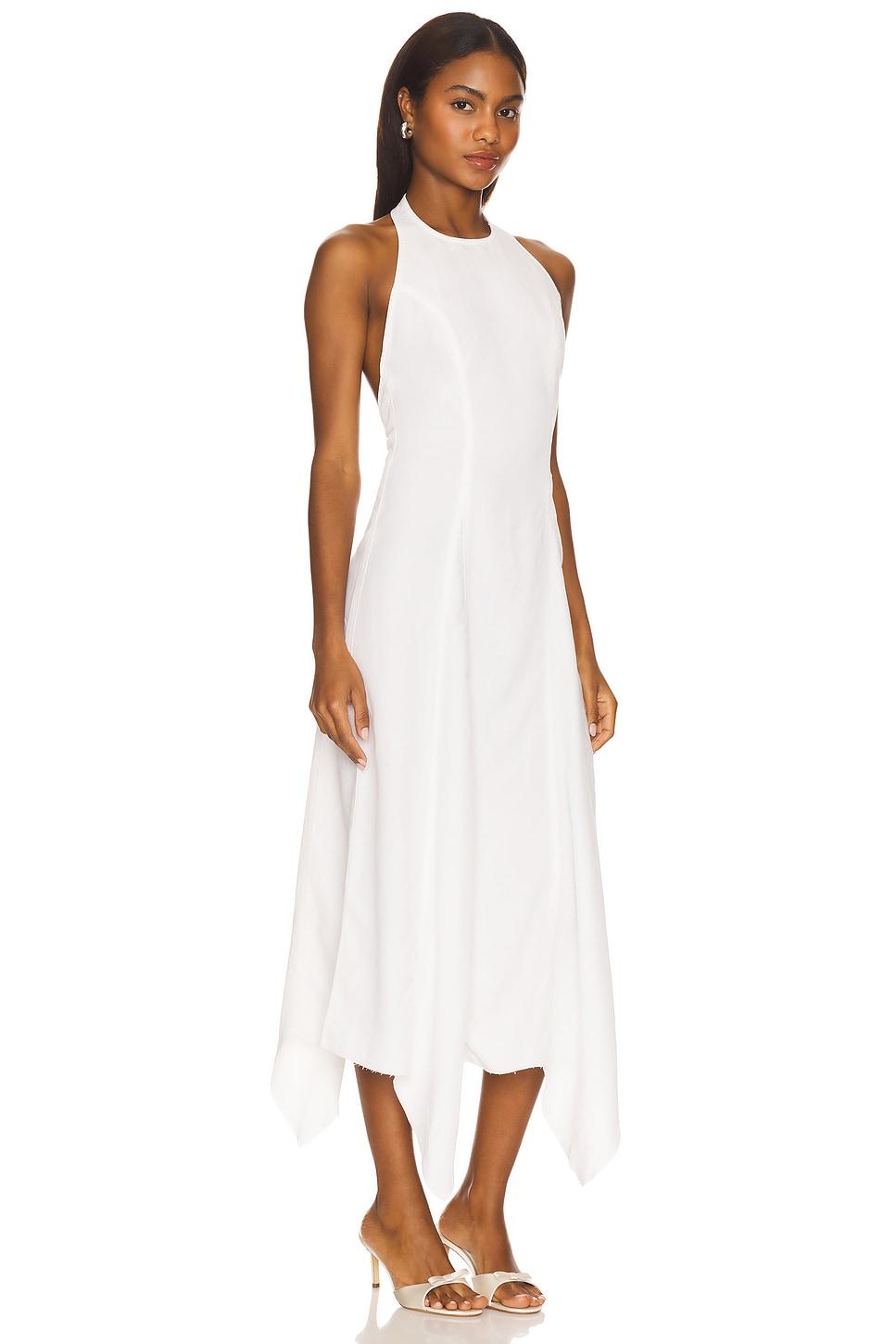 Stella Dress EB Denim Product Image