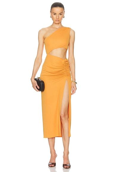 Riri One Shoulder Cut Out Midi Dress Product Image
