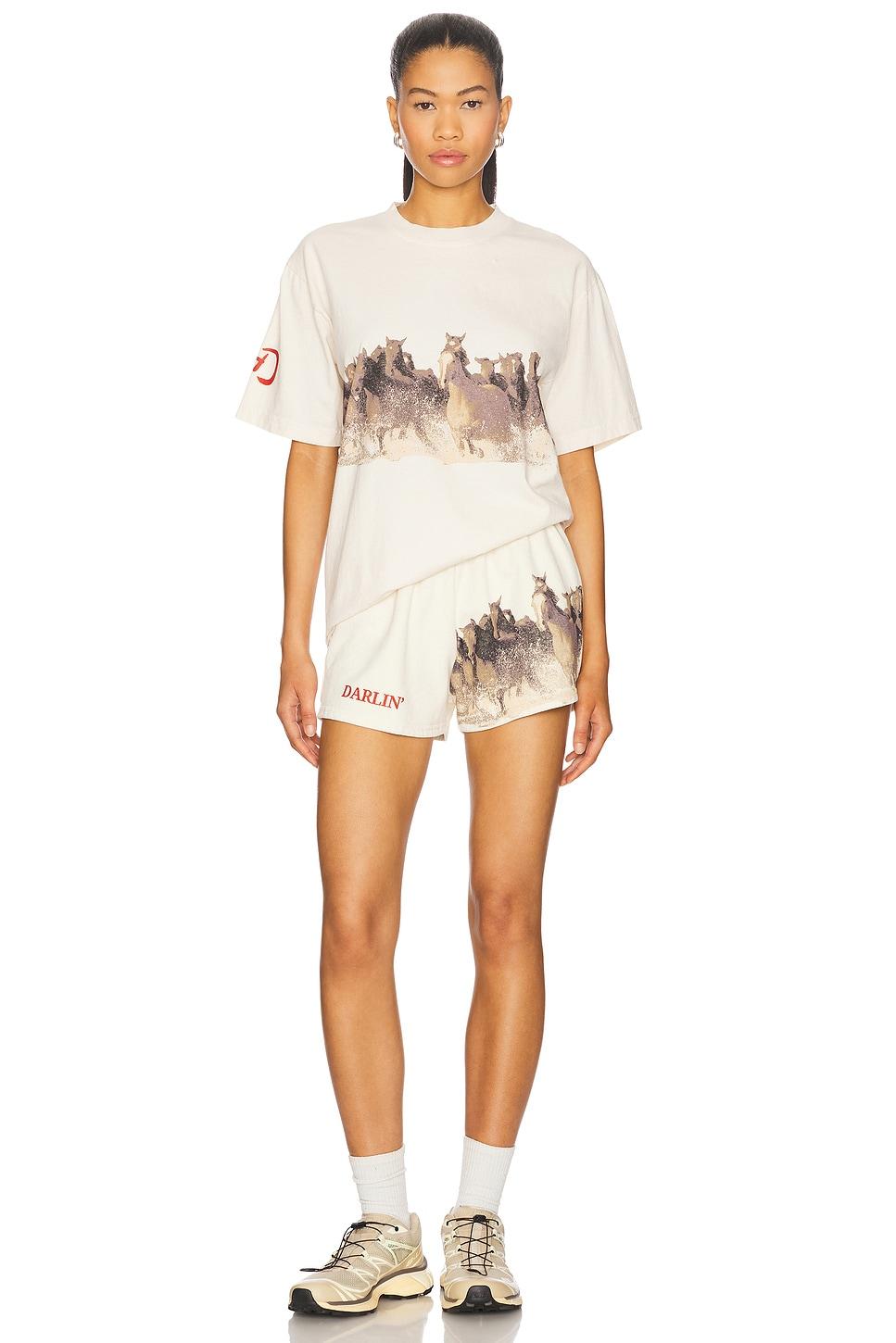 Wild Sweatshort Darlin Product Image